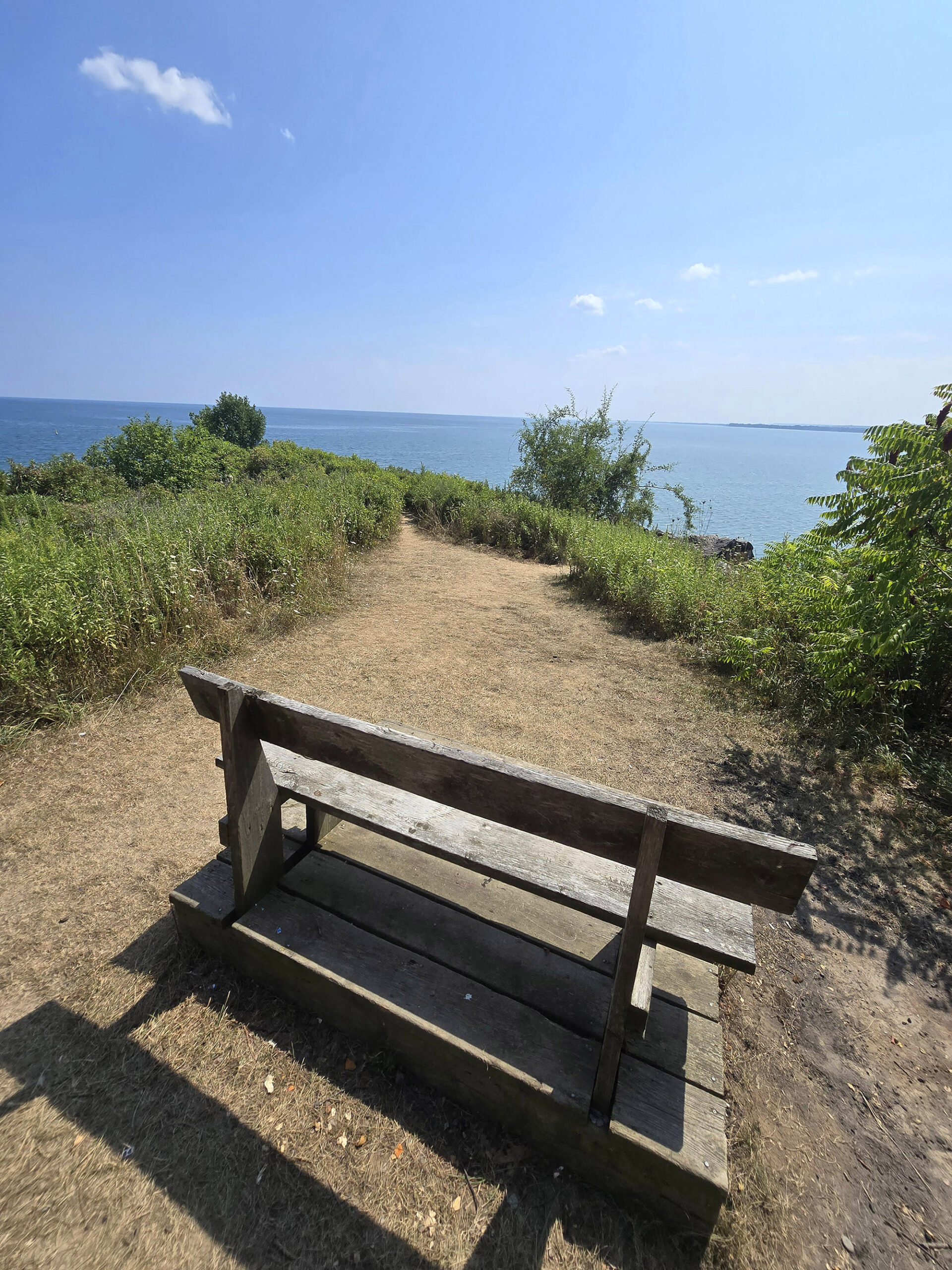 A bench on a cliff at Fifty Point Conservation Area, overlooking Lake Ontario.
