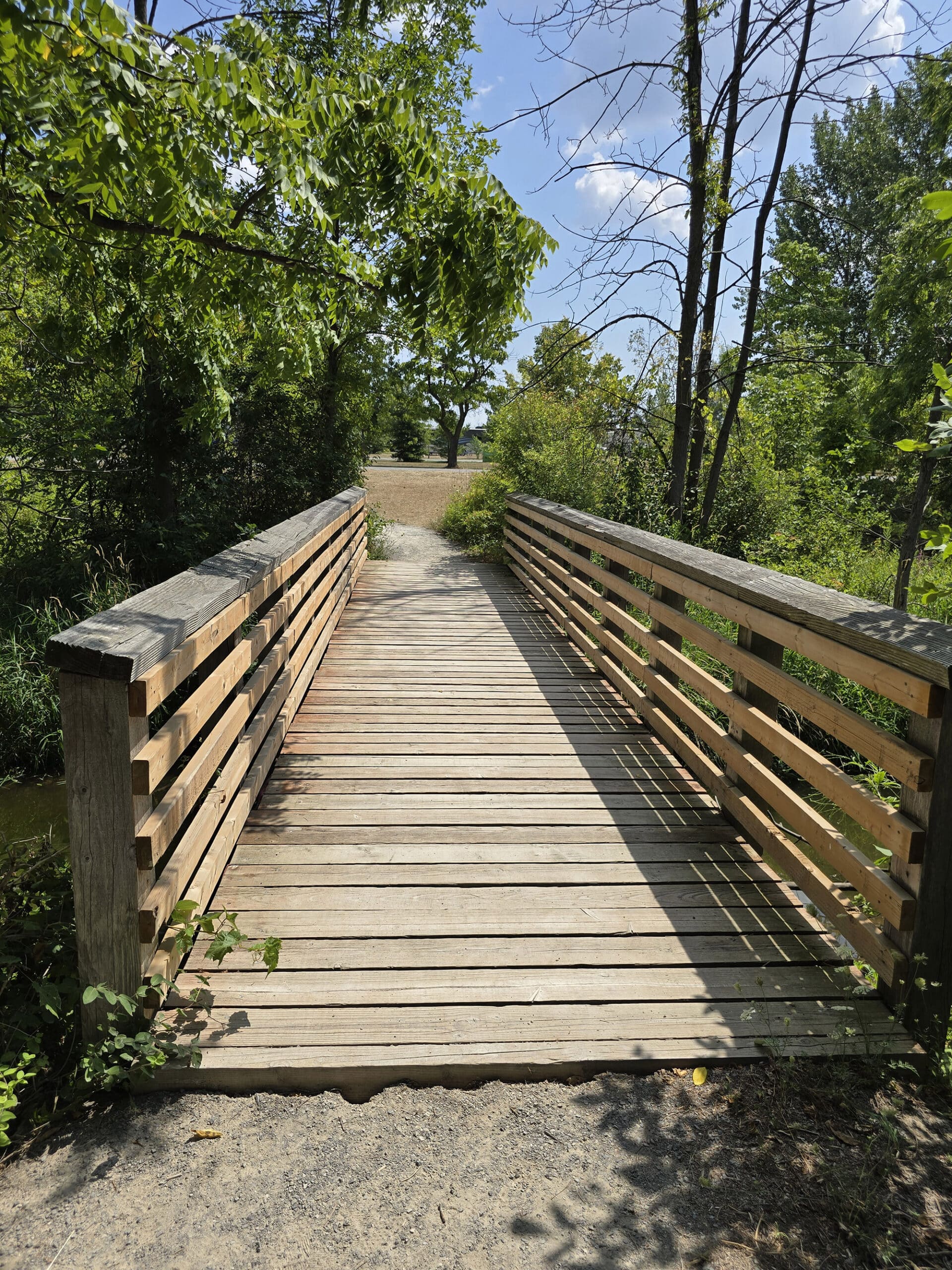 A wooden footbridge through some trees at Fifty Point Conservation Area.