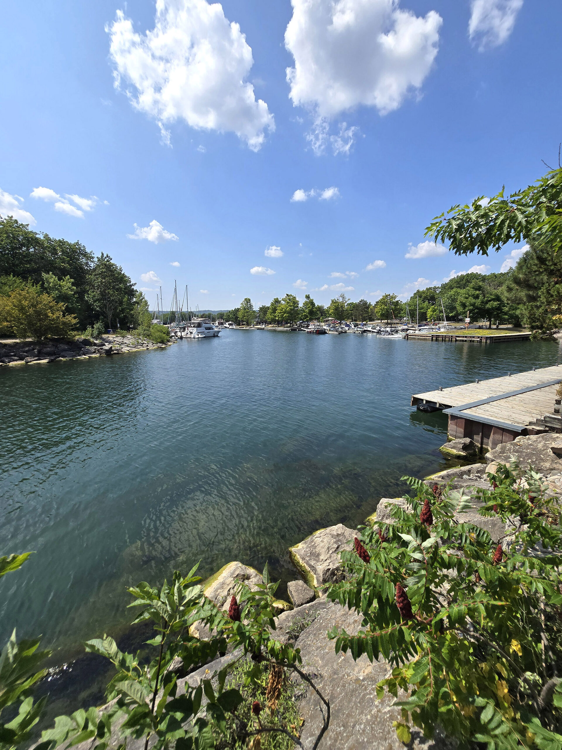 The Fifty Point Marina.