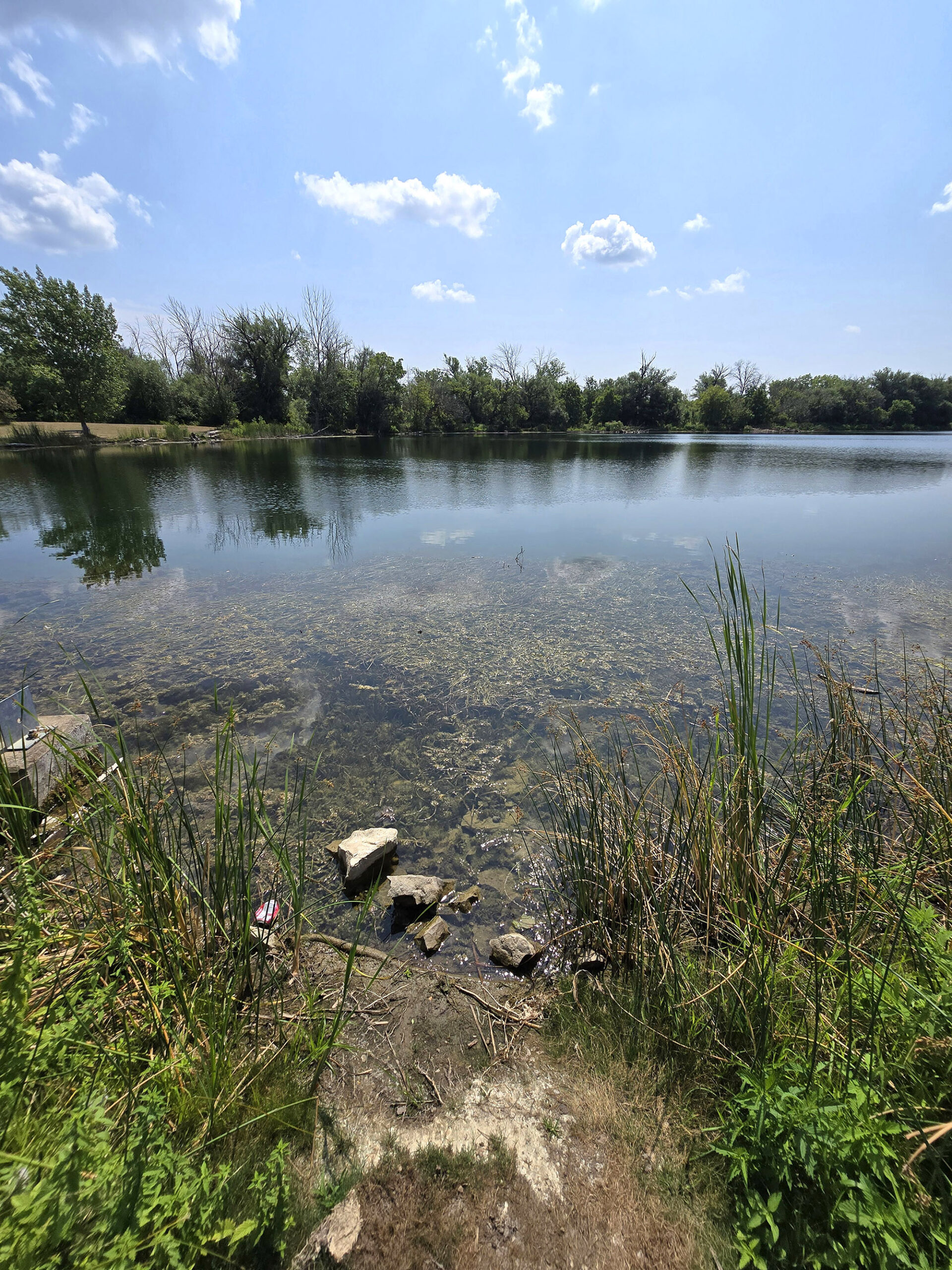 The fishing pond at Fifty Point Conservation Area.