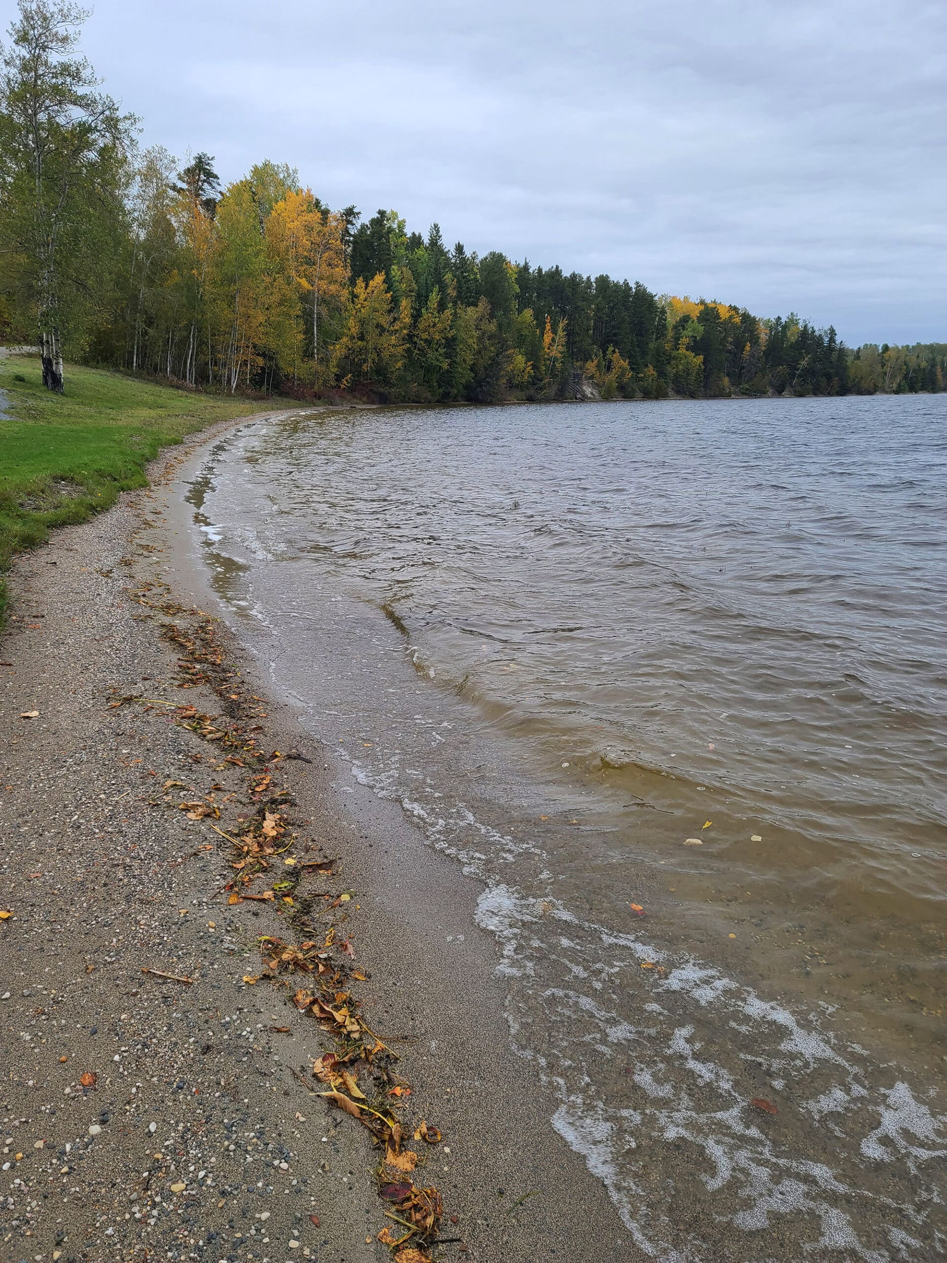 The beach at macLeod Provincial park.