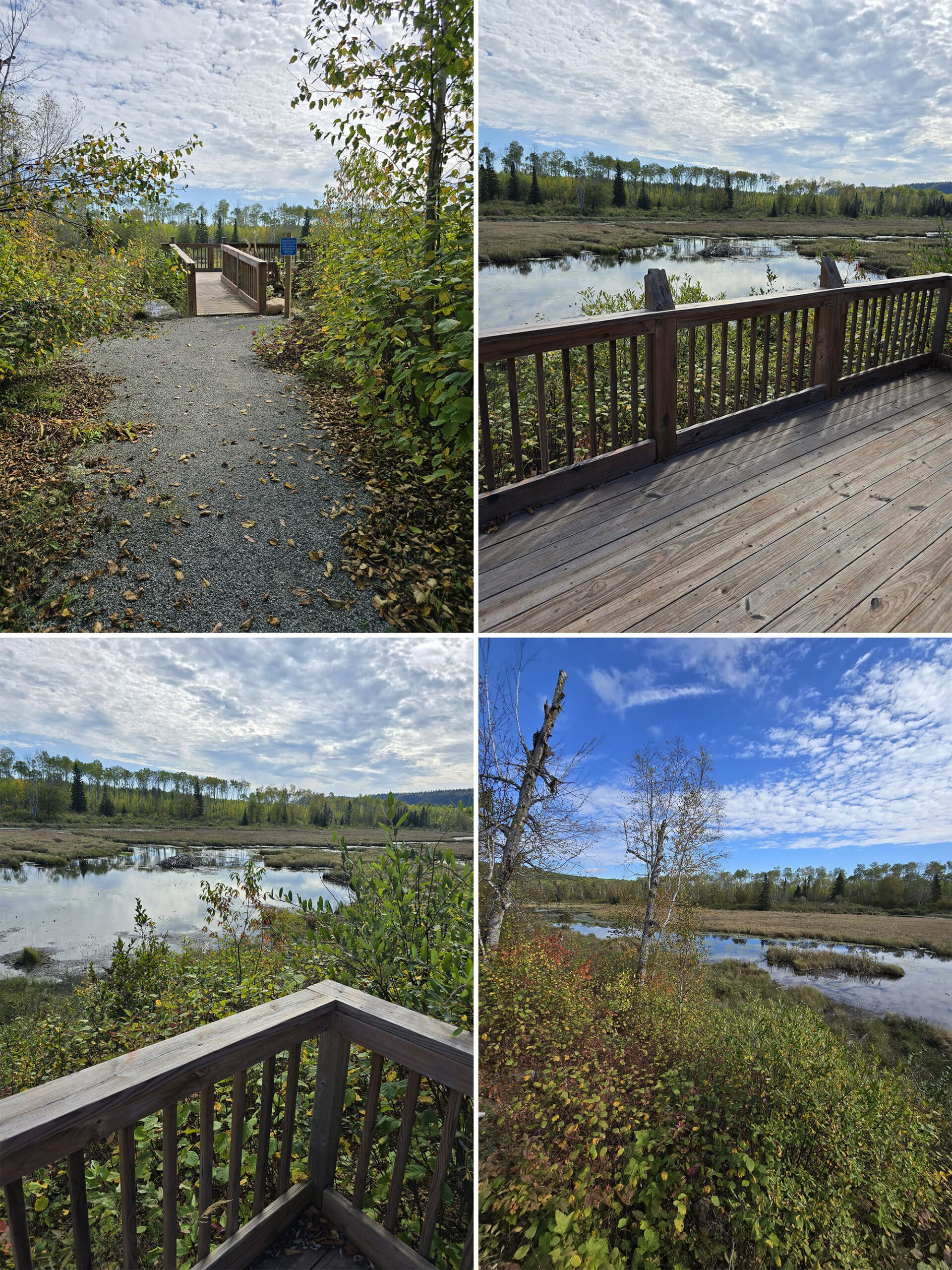 4 part image showing a lookout platform over a pond and marshy area.