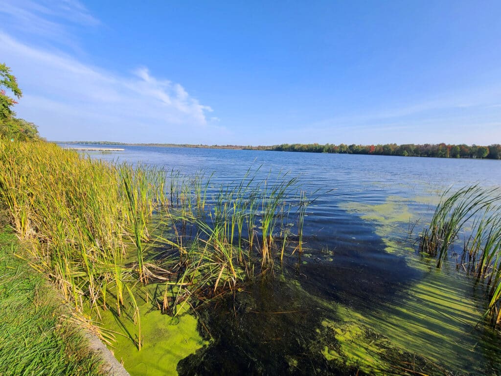 Rideau River Provincial Park RV Camping Review [Ontario] 2 Nerds In A