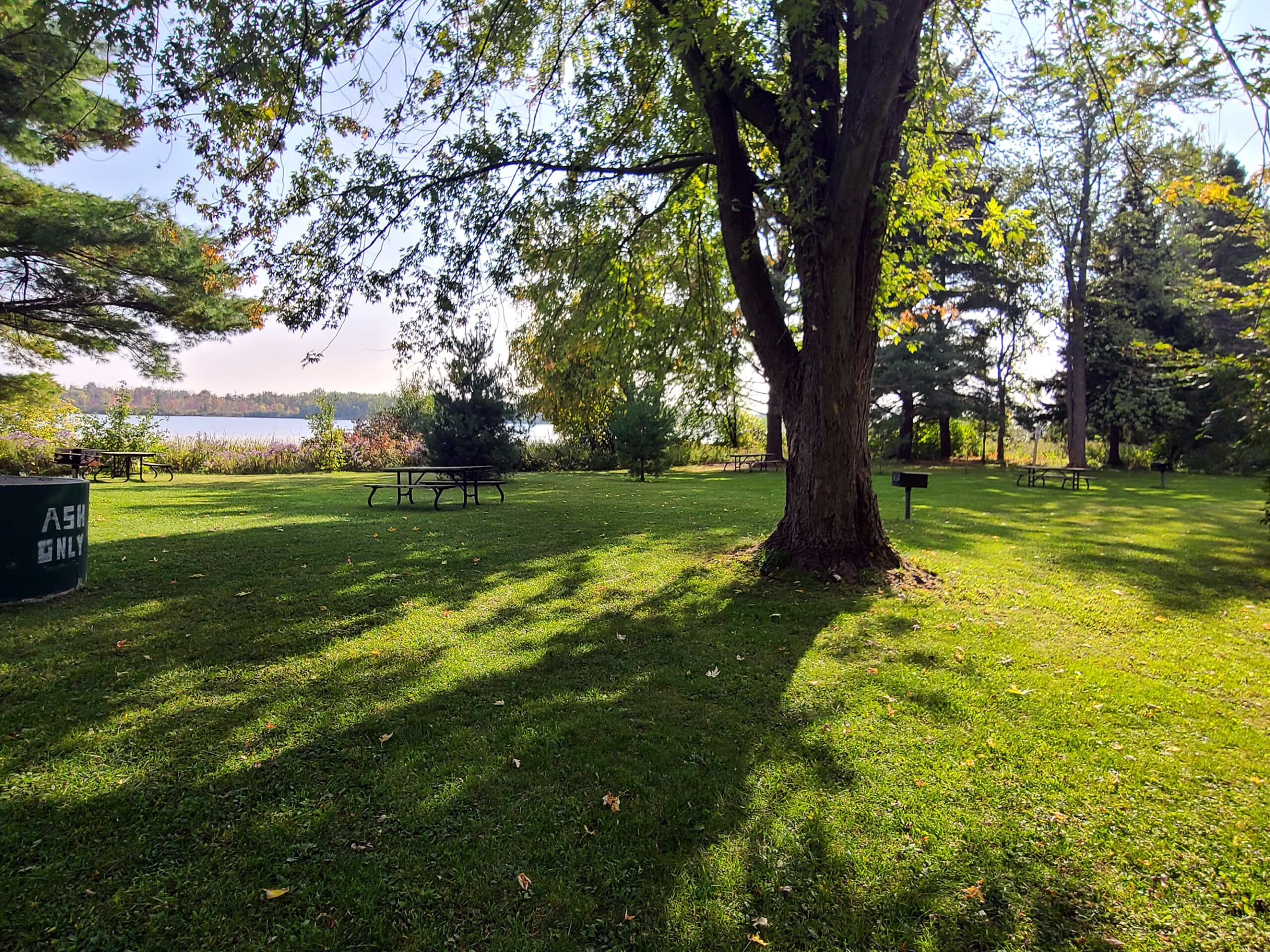A grassy area with the Rideau River in the background.  There are picnic tables and grills visible.