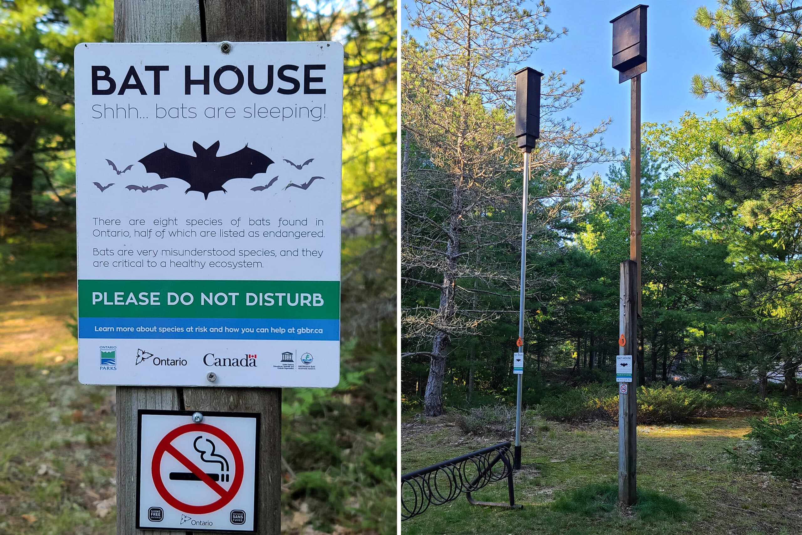 2 part image showing a sign talking about the bat house, and 2 bat houses on tall poles.