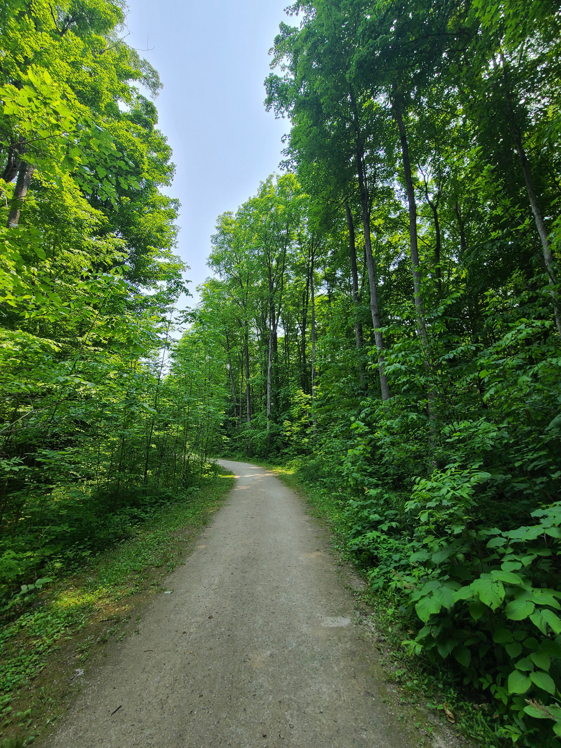 A hard packed trail runs through a wooded area in Meaford, Ontario,