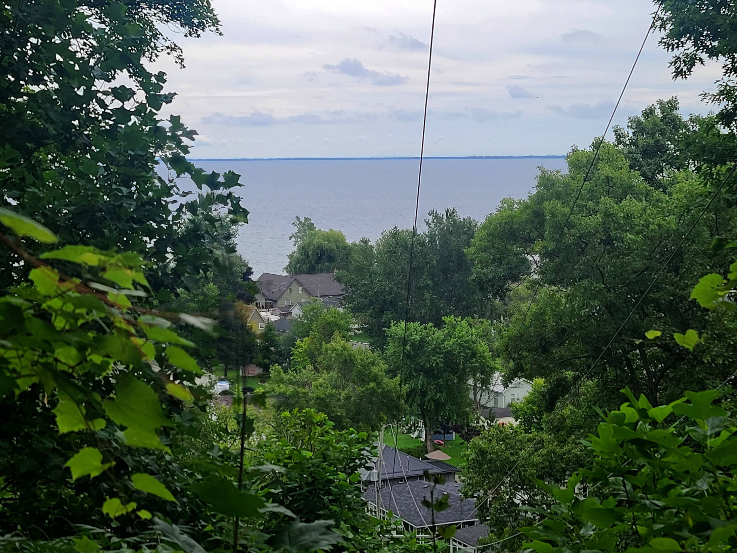A fairly meh view of Lake erie in the distance, with tree tops and houses in the foreground.
