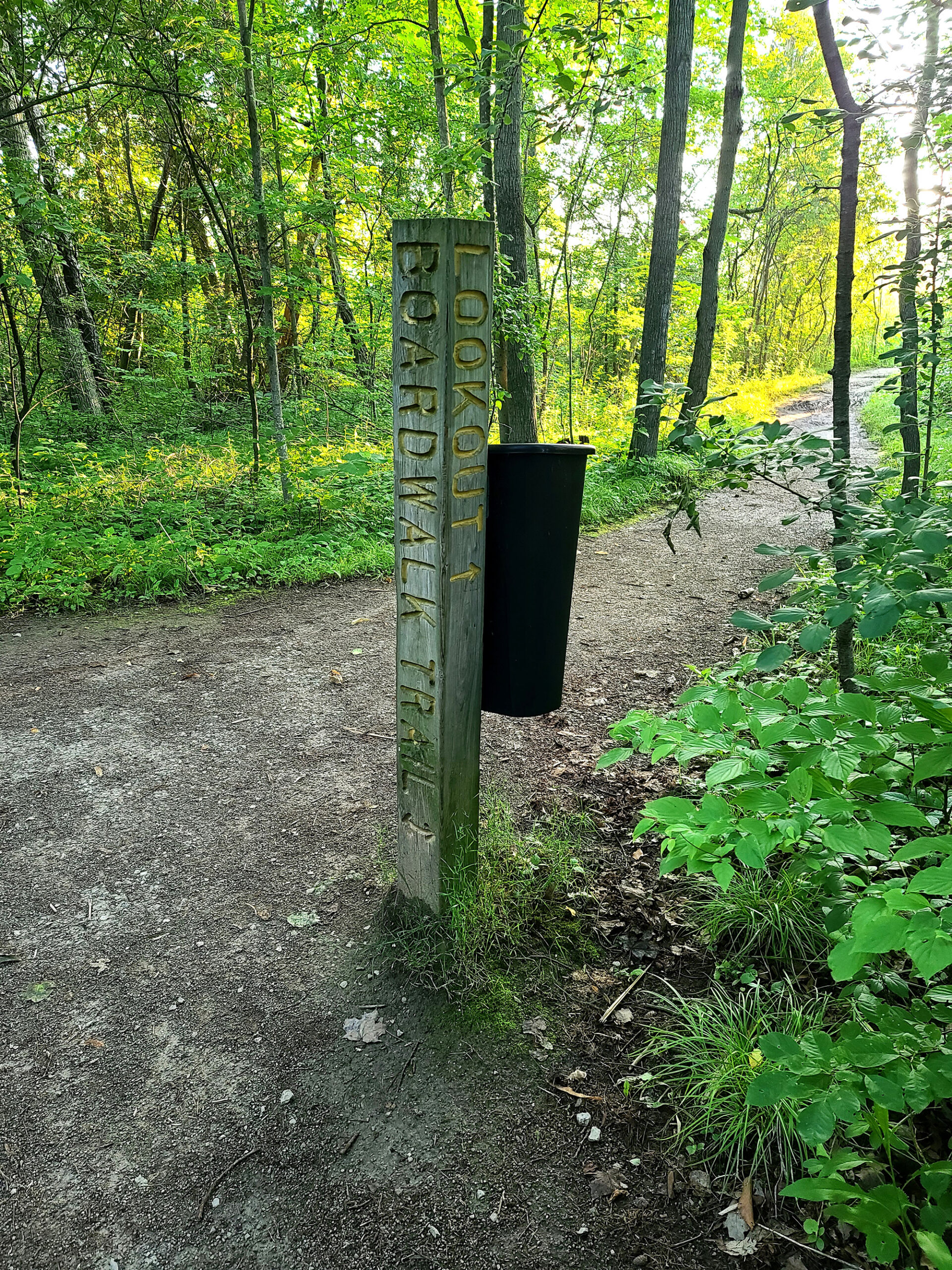 A wooden waypointer on a forest trail.
