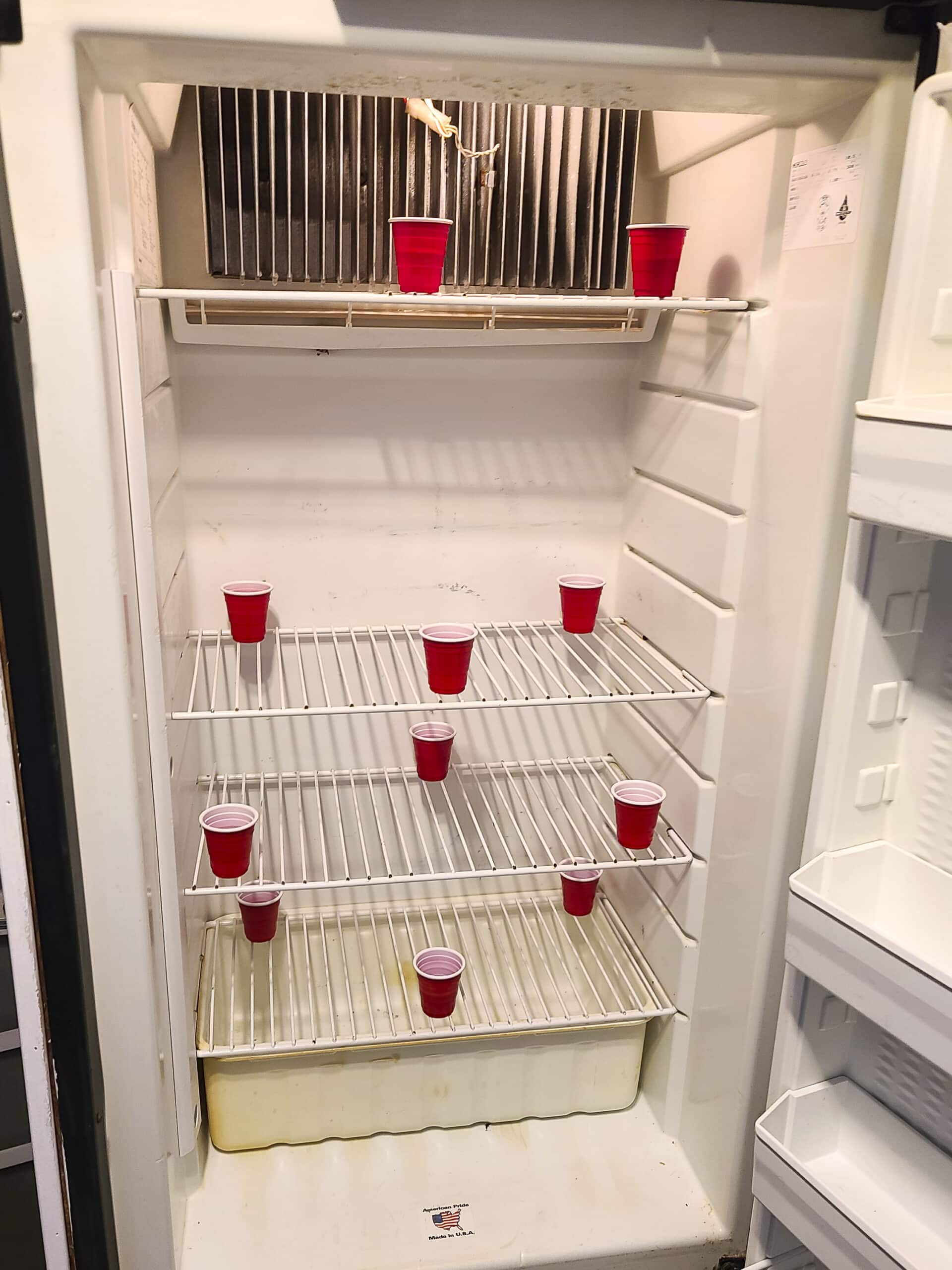 Looking at the inside of an RV refrigerator.  There are 11 small red cups placed in different areas.