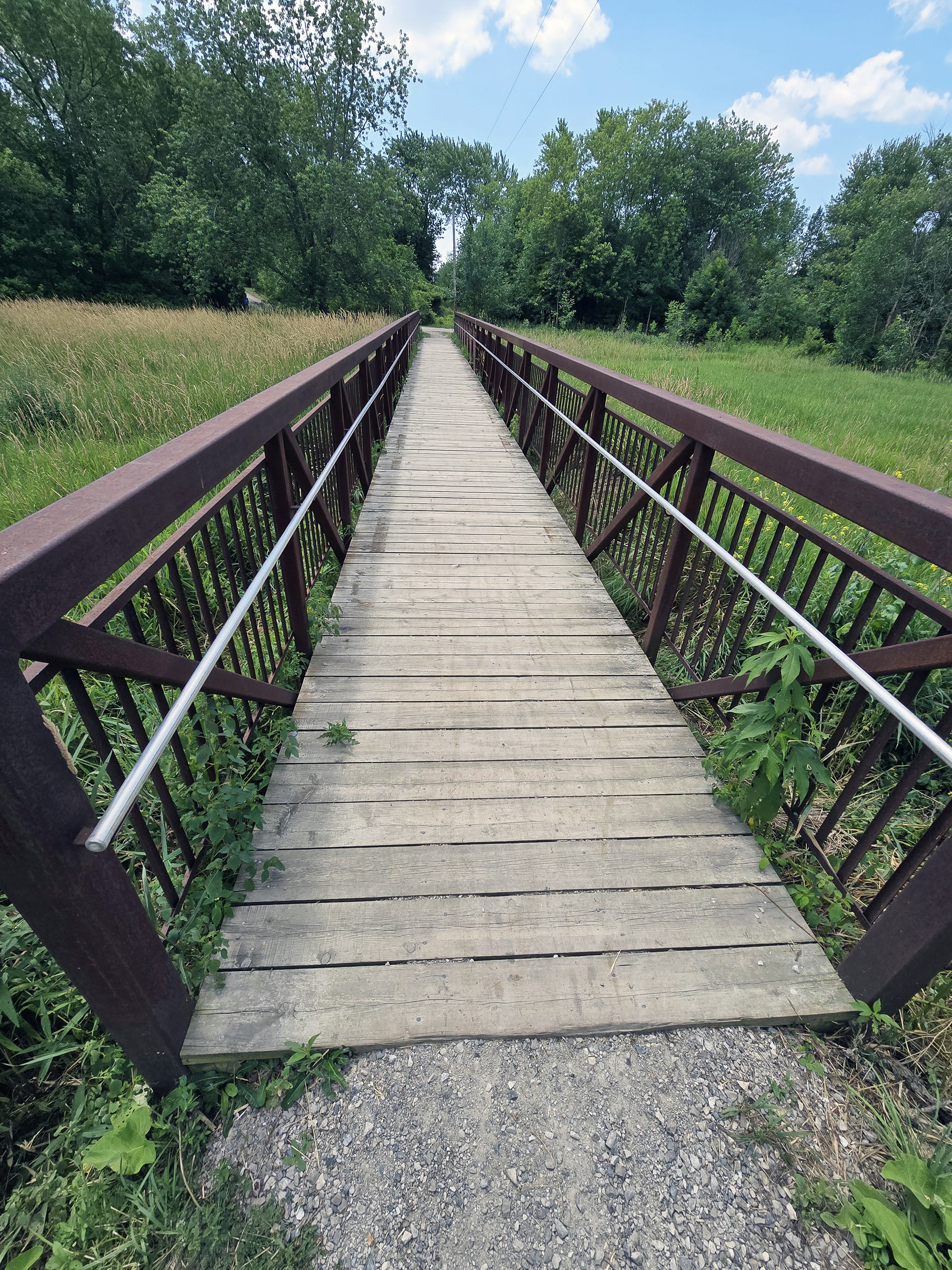 A boardwalk over a marshy area at Selkirk Provincial Park.