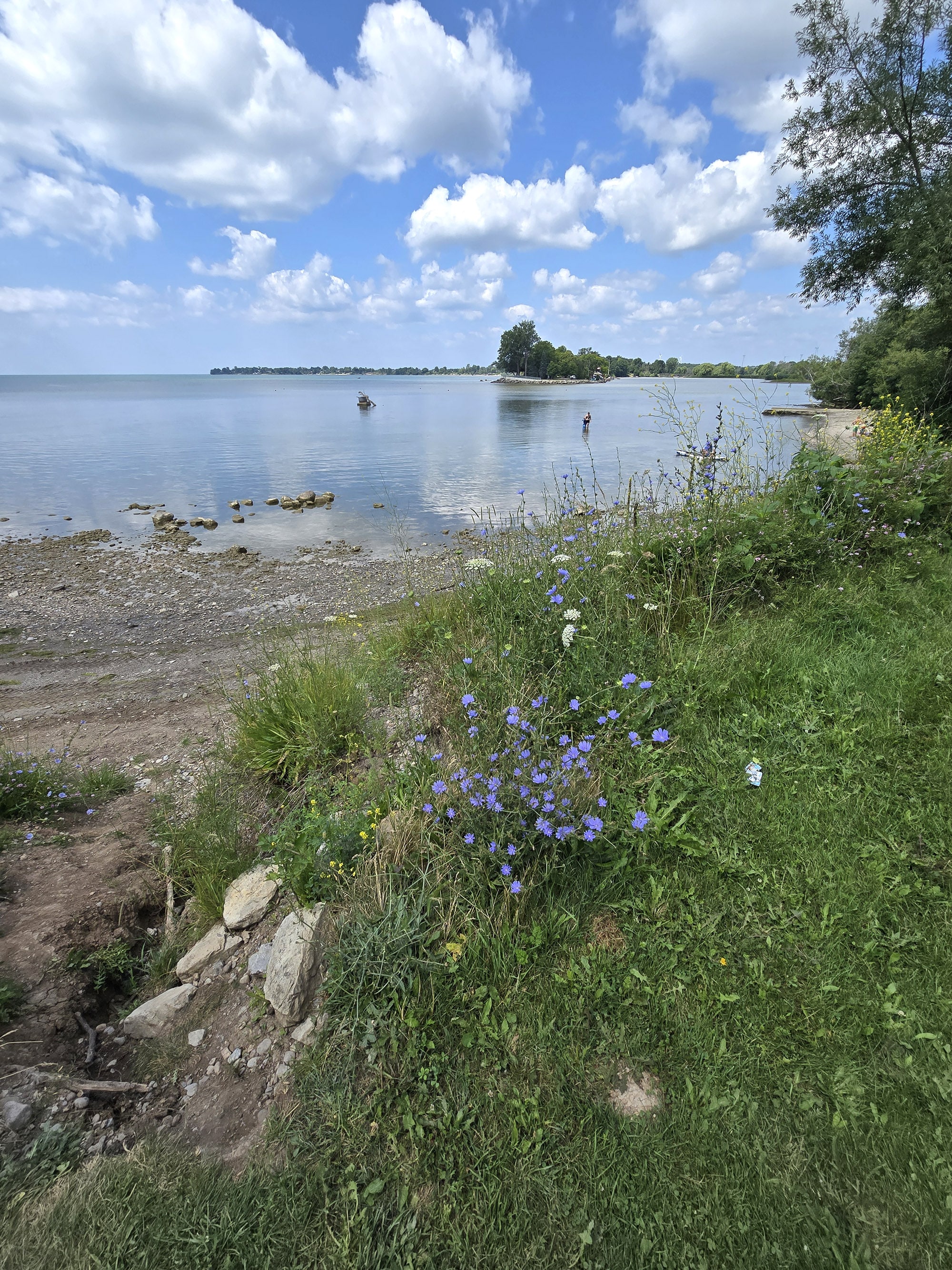 The selkirk provincial park beach.