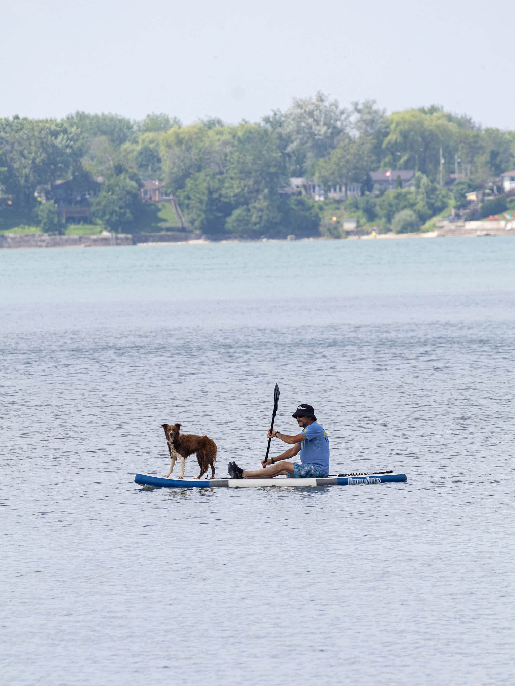 A man with a dog on a paddleboard.