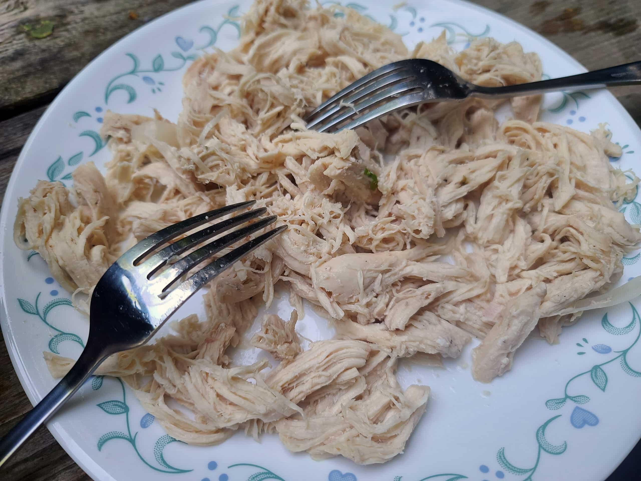 Pulled chicken on a plate, with two forks.