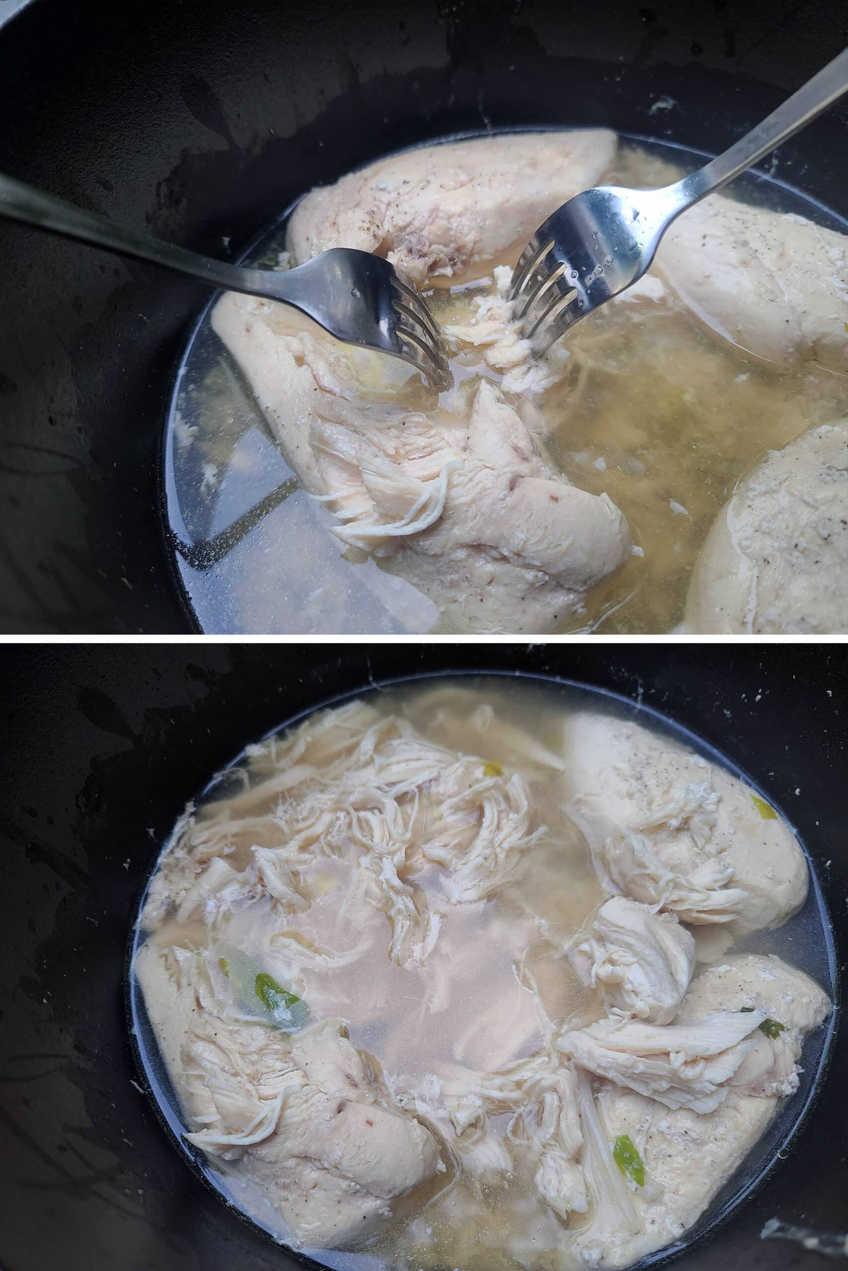 A 2 part image showing 2 forks pulling apart the poached chicken breasts in the dutch oven, surrounded by chicken broth.