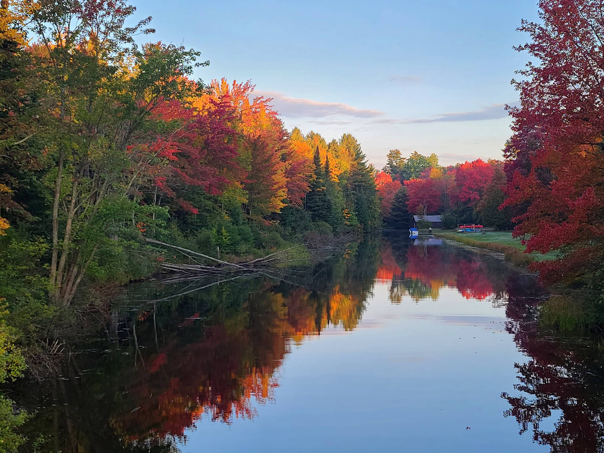 A line of colourful fall trees along a still creek, with reflections showing in the water.