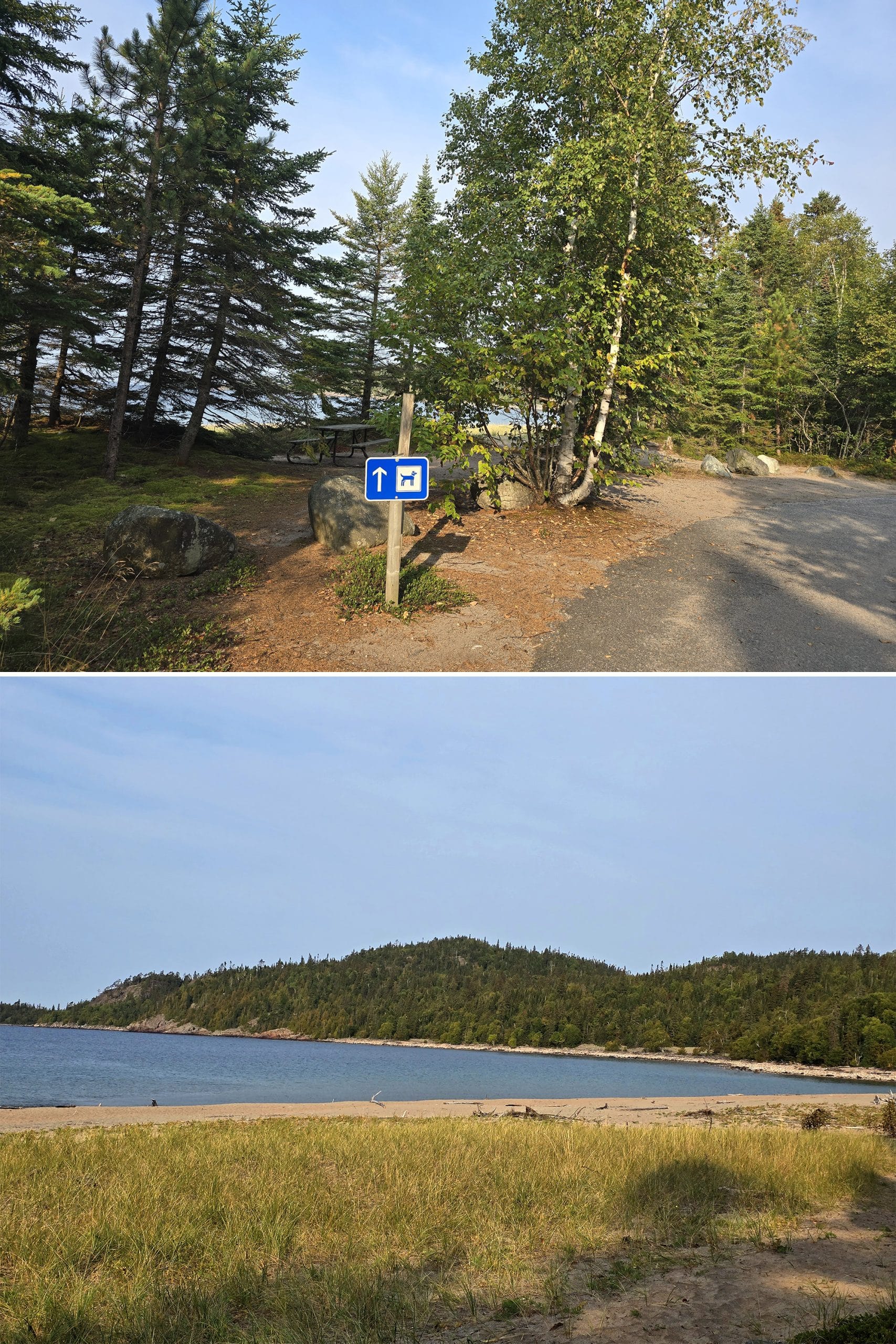 2 part image showing a sign pointing to the dog beach at Old Woman Bay, and the dog beach itself.