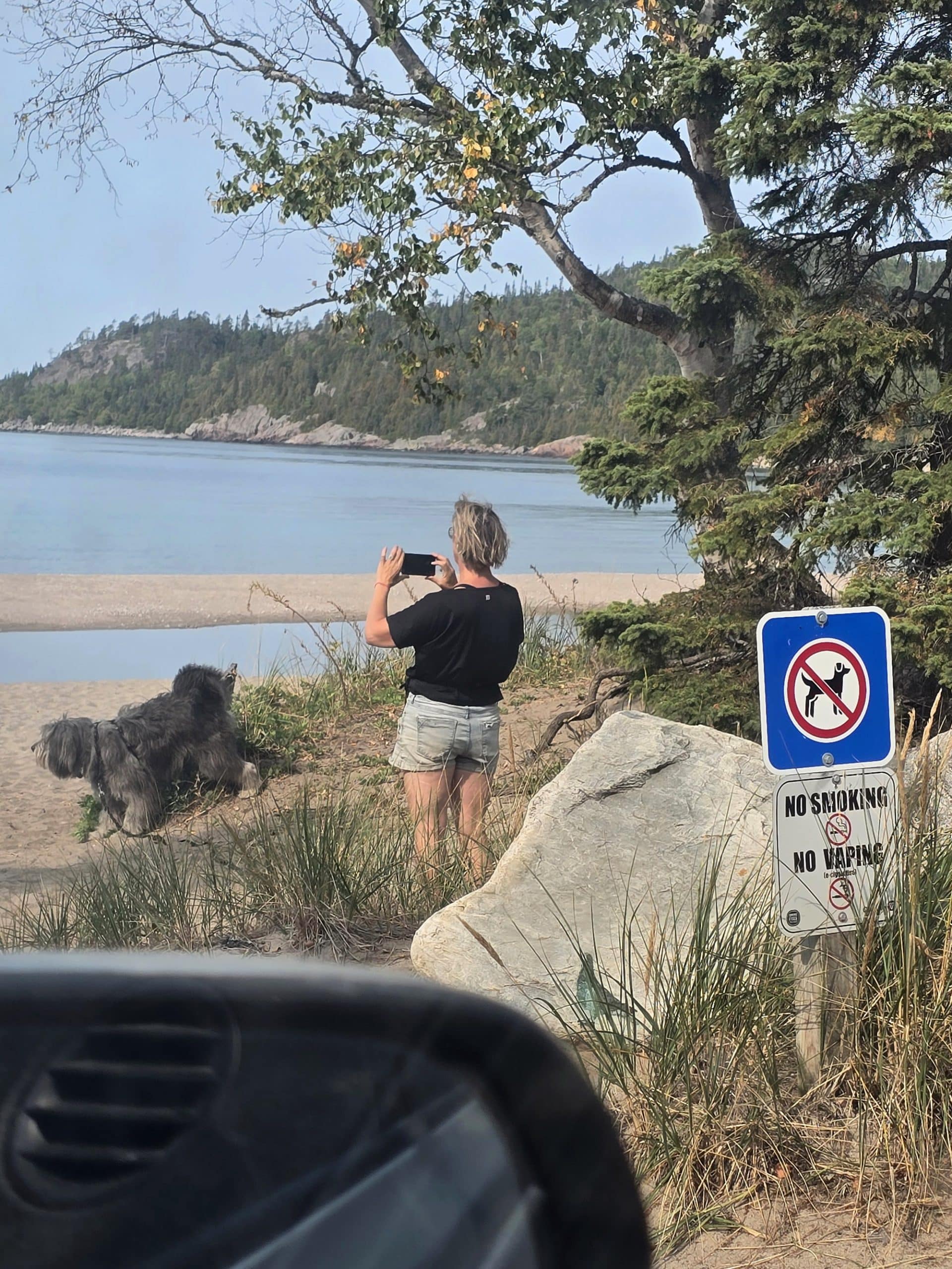 An entitled old white woman taking a photo of old woman bay, while her dog relieves itself on a dune. They are in front of a no dogs sign.