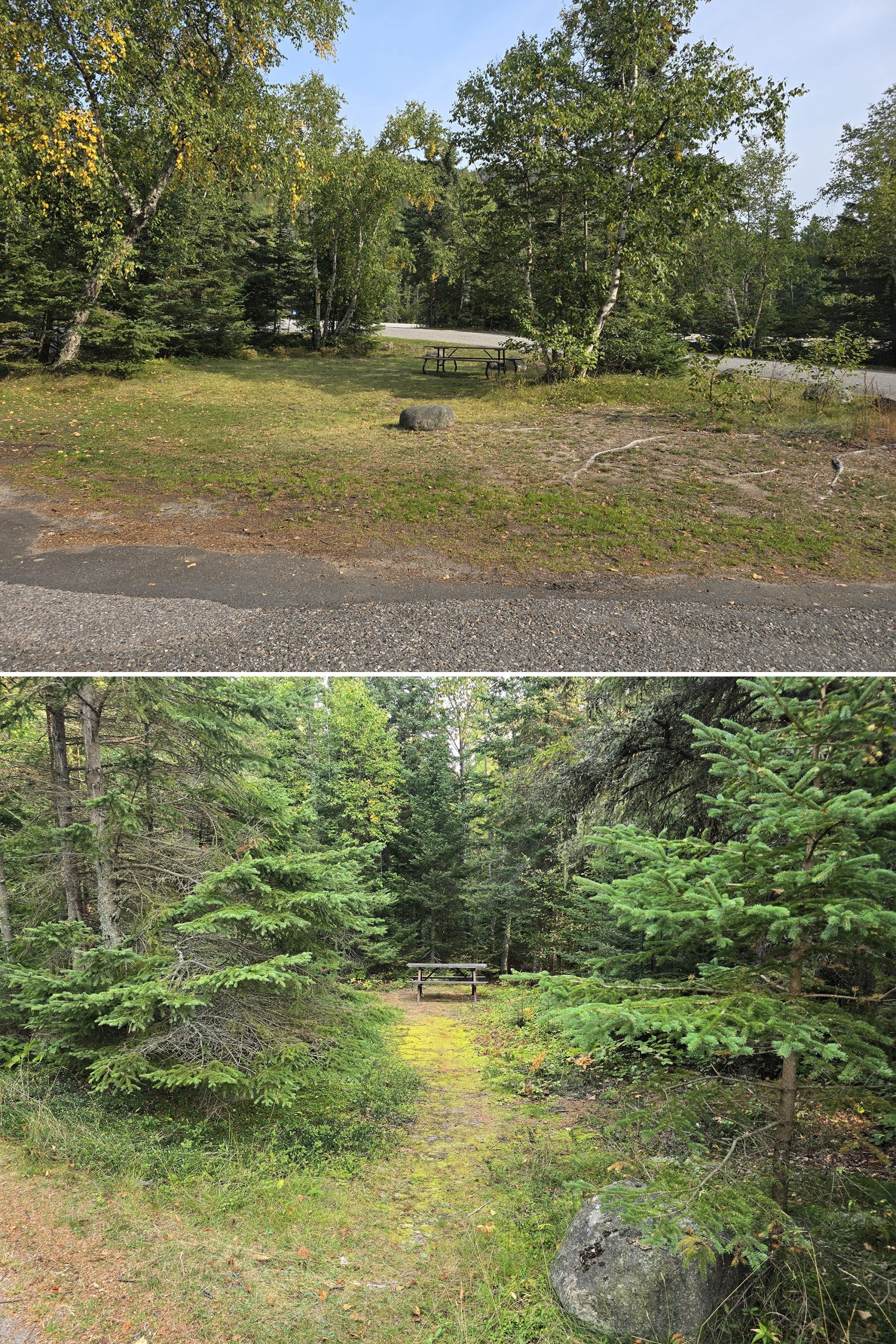 2 part image showing different picnic areas in a treed setting.