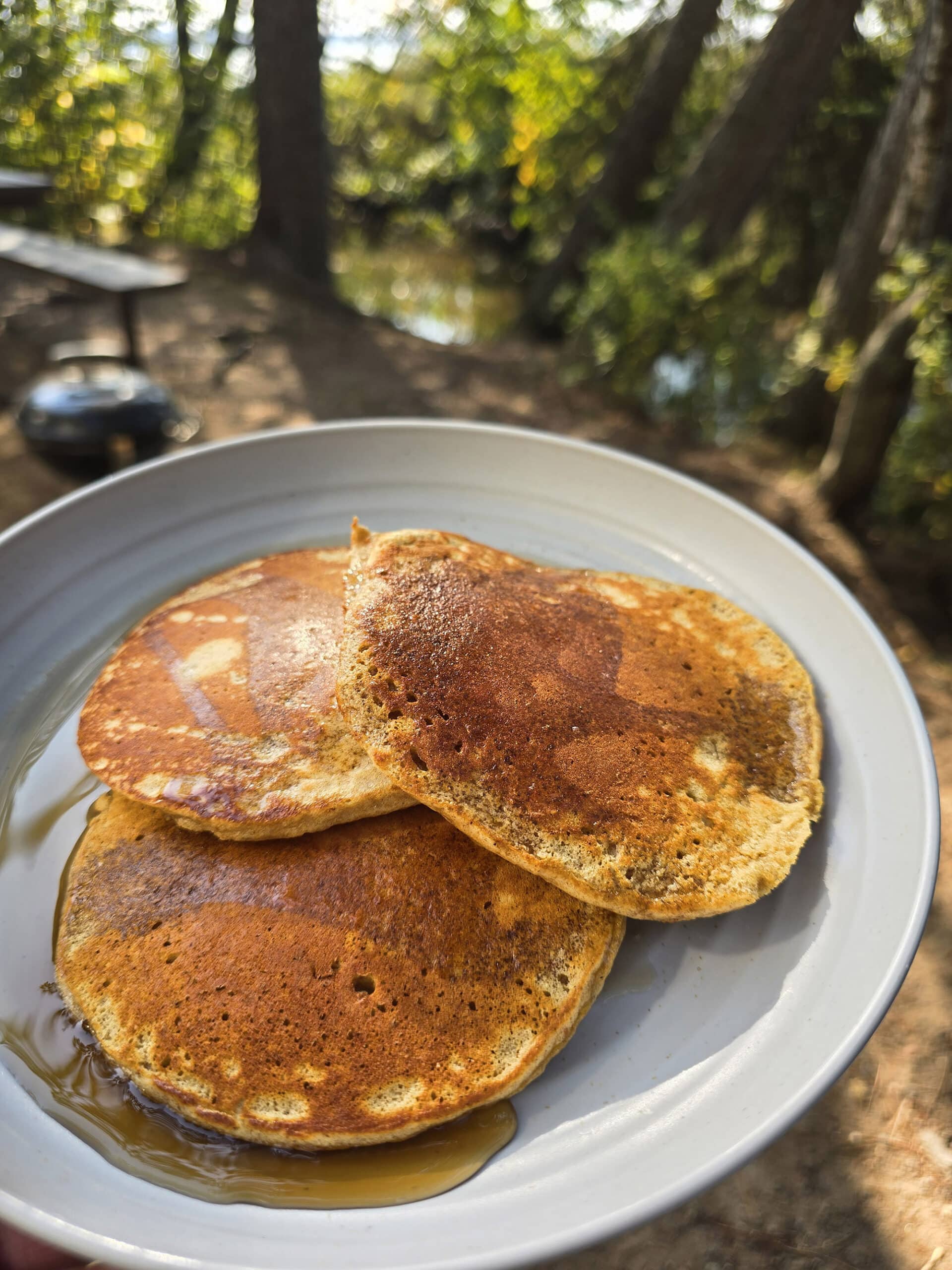 3 pumpkin protein pancakes on a camping plate.