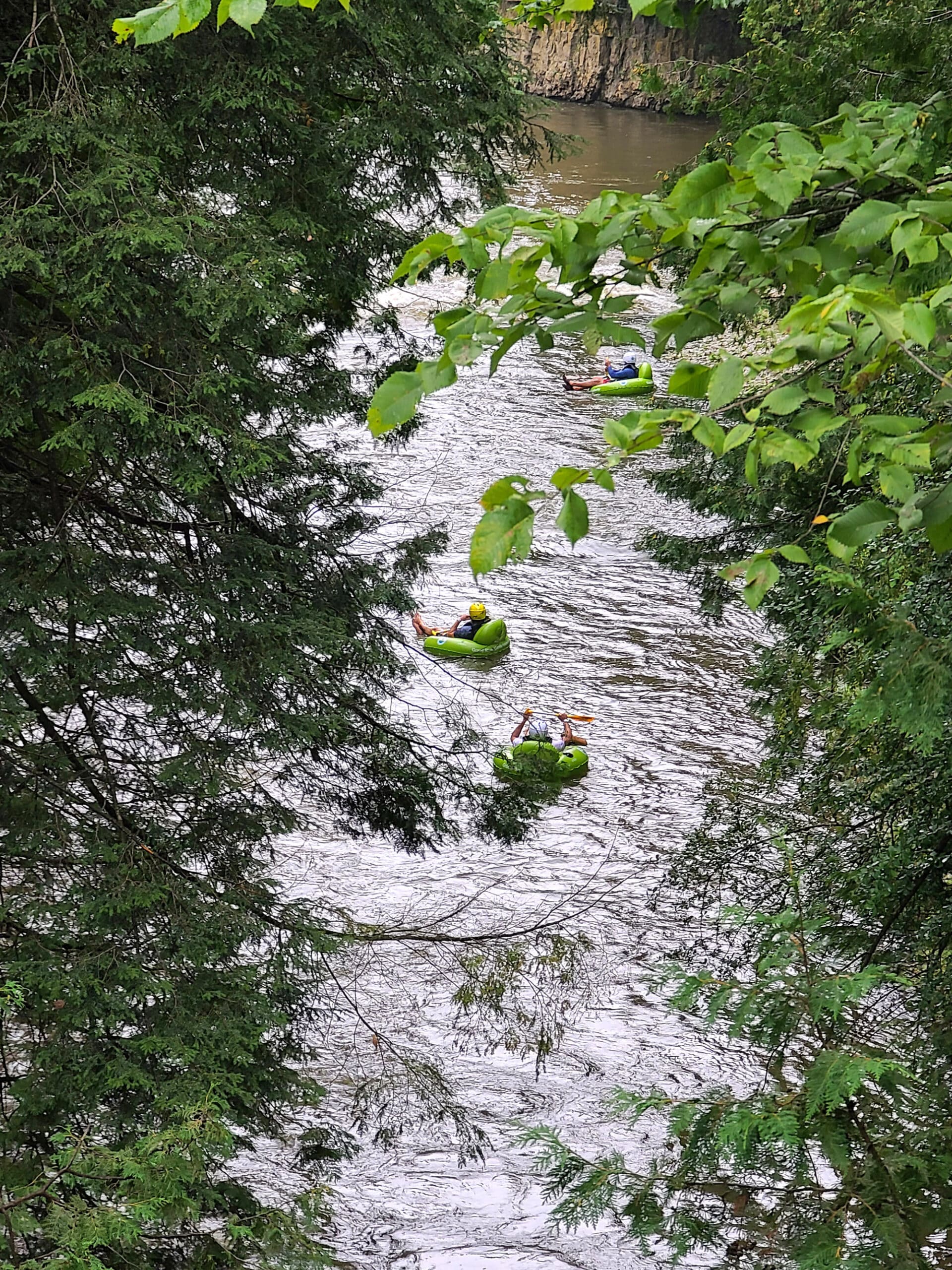 Overhead view of people tubing through Elora Gorge on bright green inner tubes.
