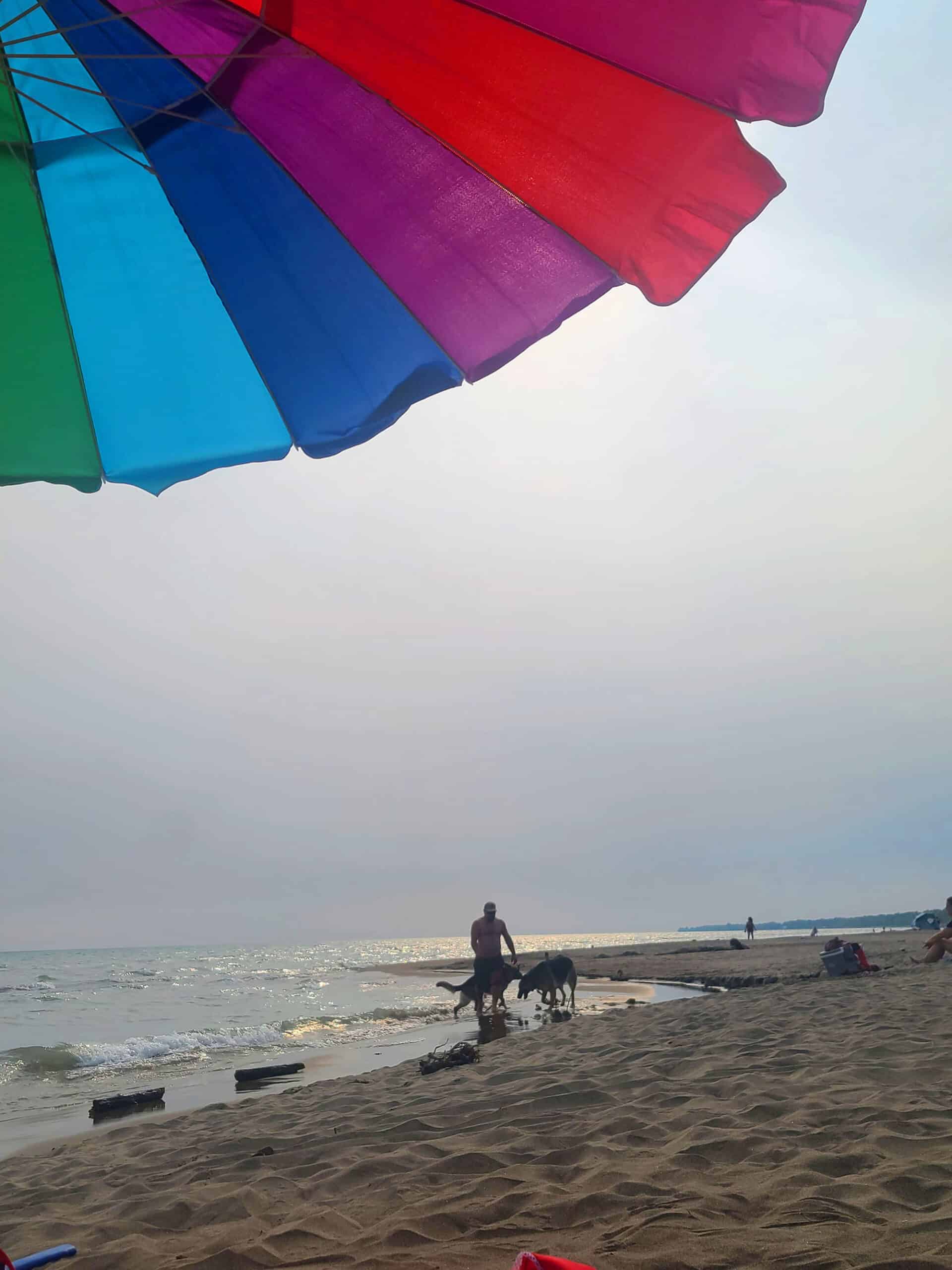 Silhouette of a person with their dog on a beach, with a rainbow beach umbrella in the foreground.
