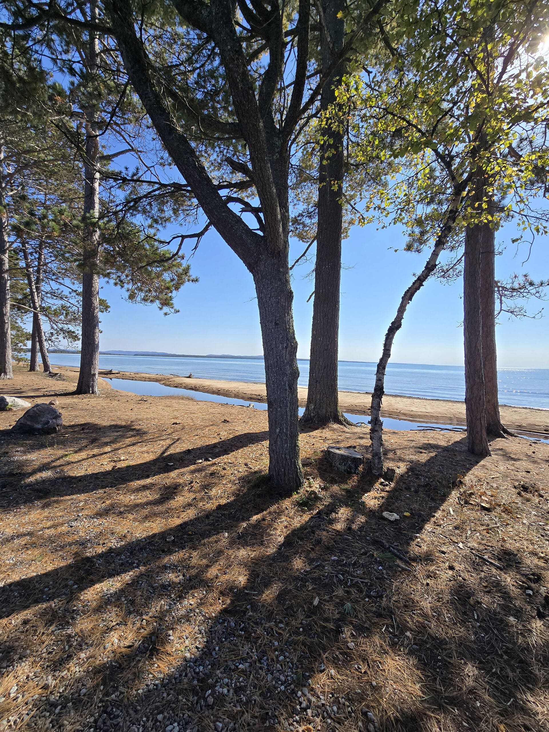 A view of Batchawana Bay Provincial Park beach and Lake Superior through some trees on the shore.