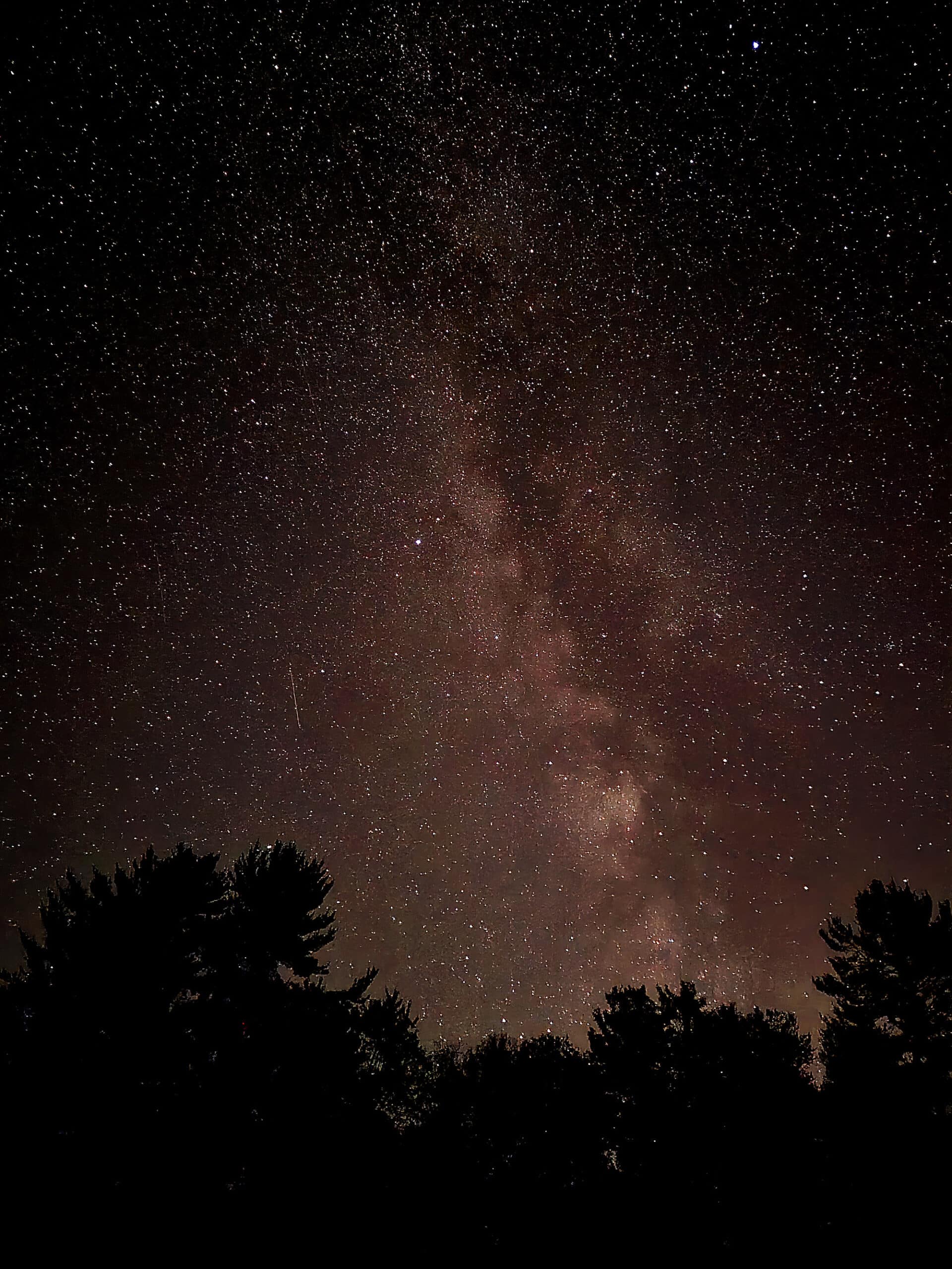 The milky way over a silhouette of trees.