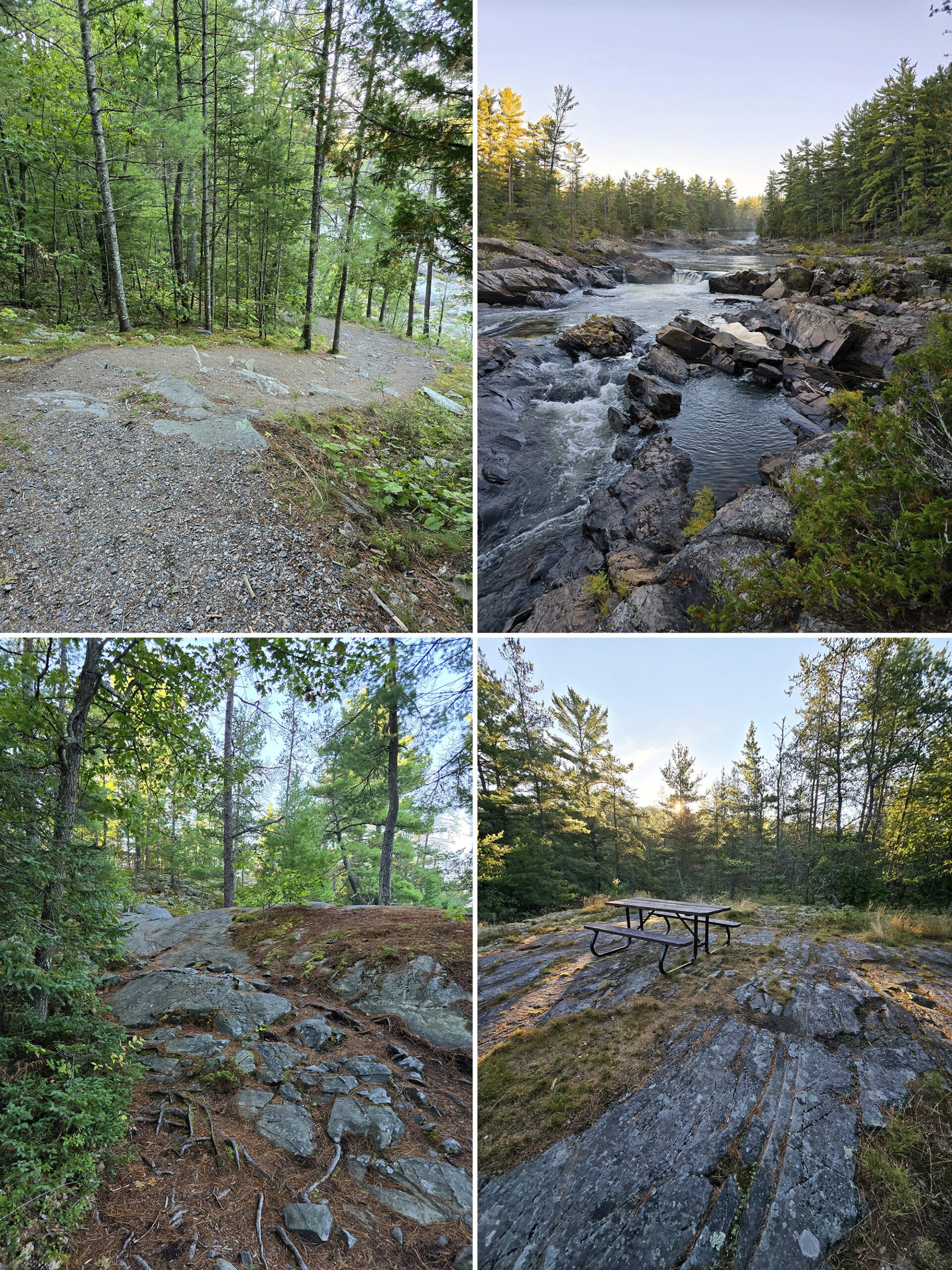 4 part image showing various views along the twin bridges trail in chutes provincial park.