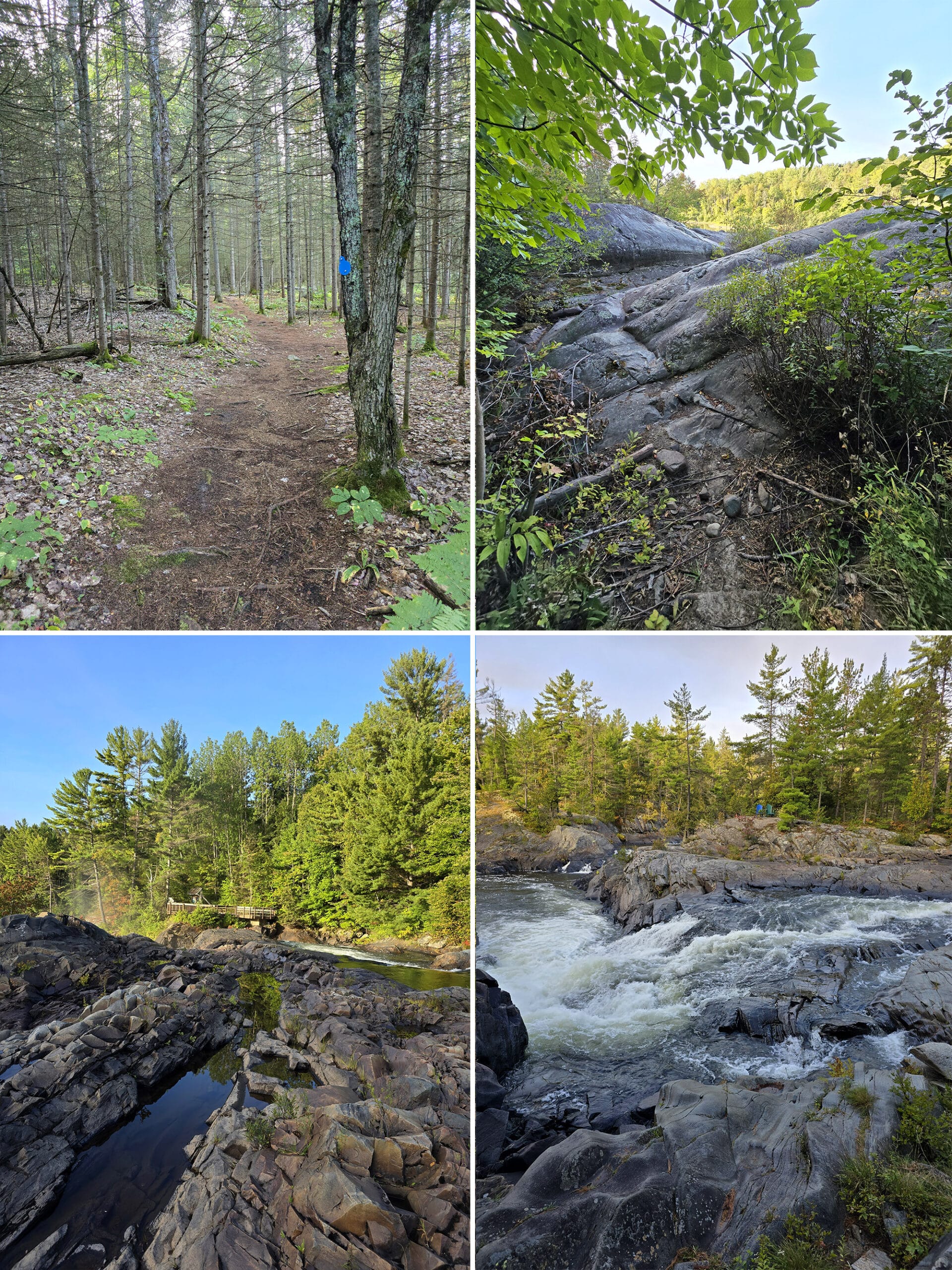 4 part image showing various views along the twin bridges trail in chutes provincial park.