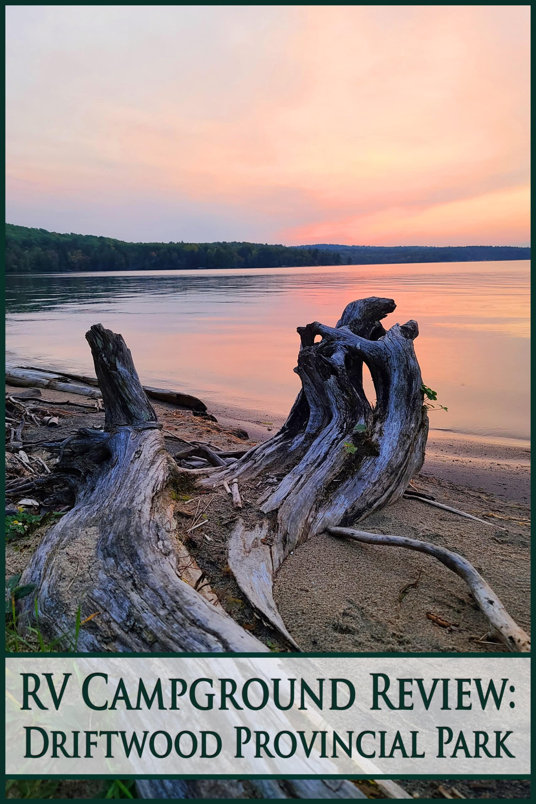 Large pieces of drift wood on the shore of the Ottawa River. Overlaid text says RV campground review driftwood provincial park.