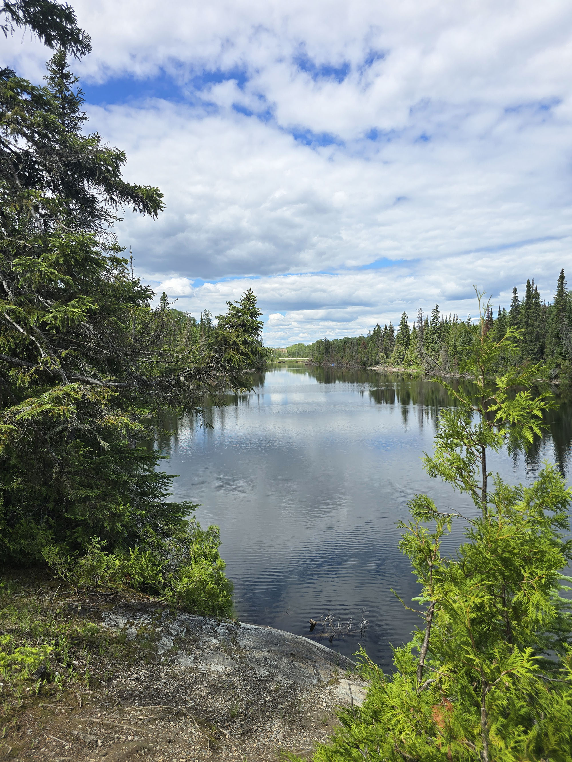 A view over the lagoon at MacLeod Provincial Park.