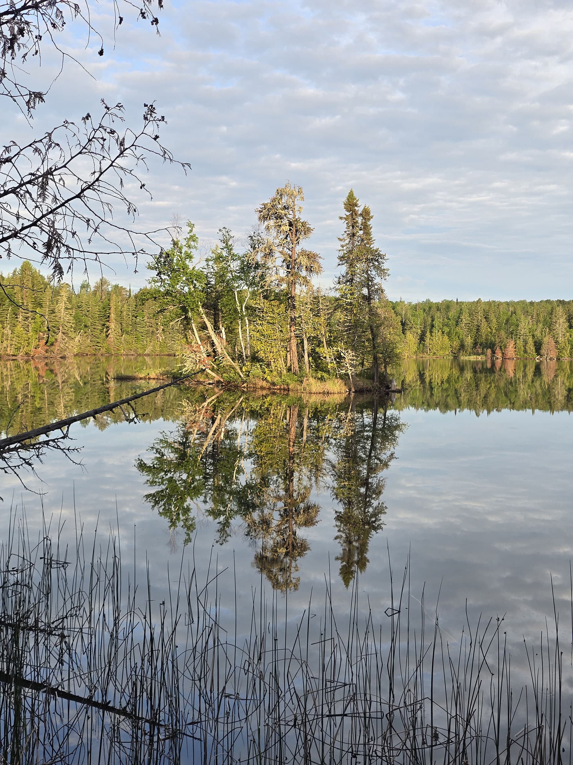 A view over the lagoon at MacLeod Provincial Park.