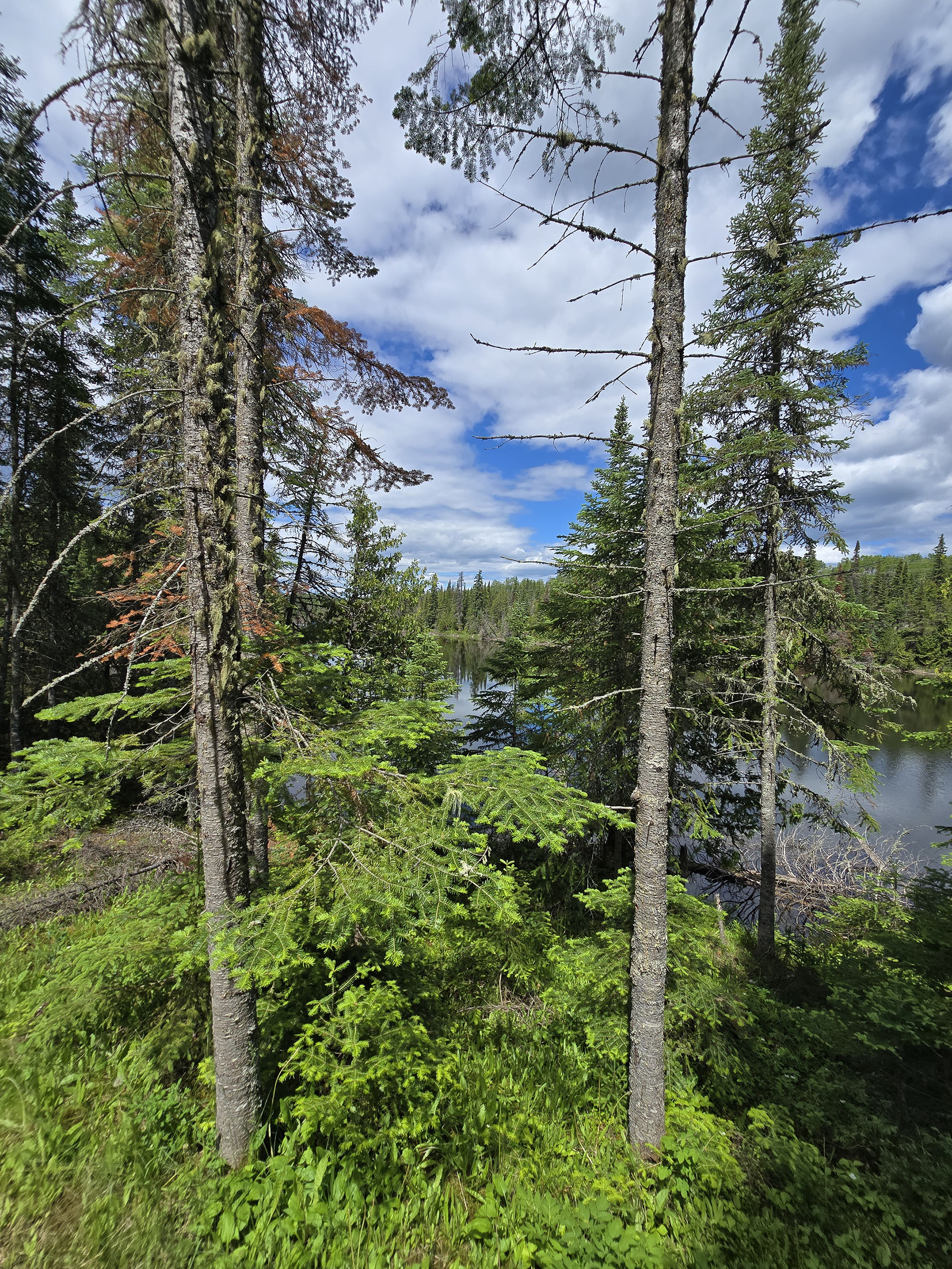 A view over the lagoon at Macleod Provincial Park.