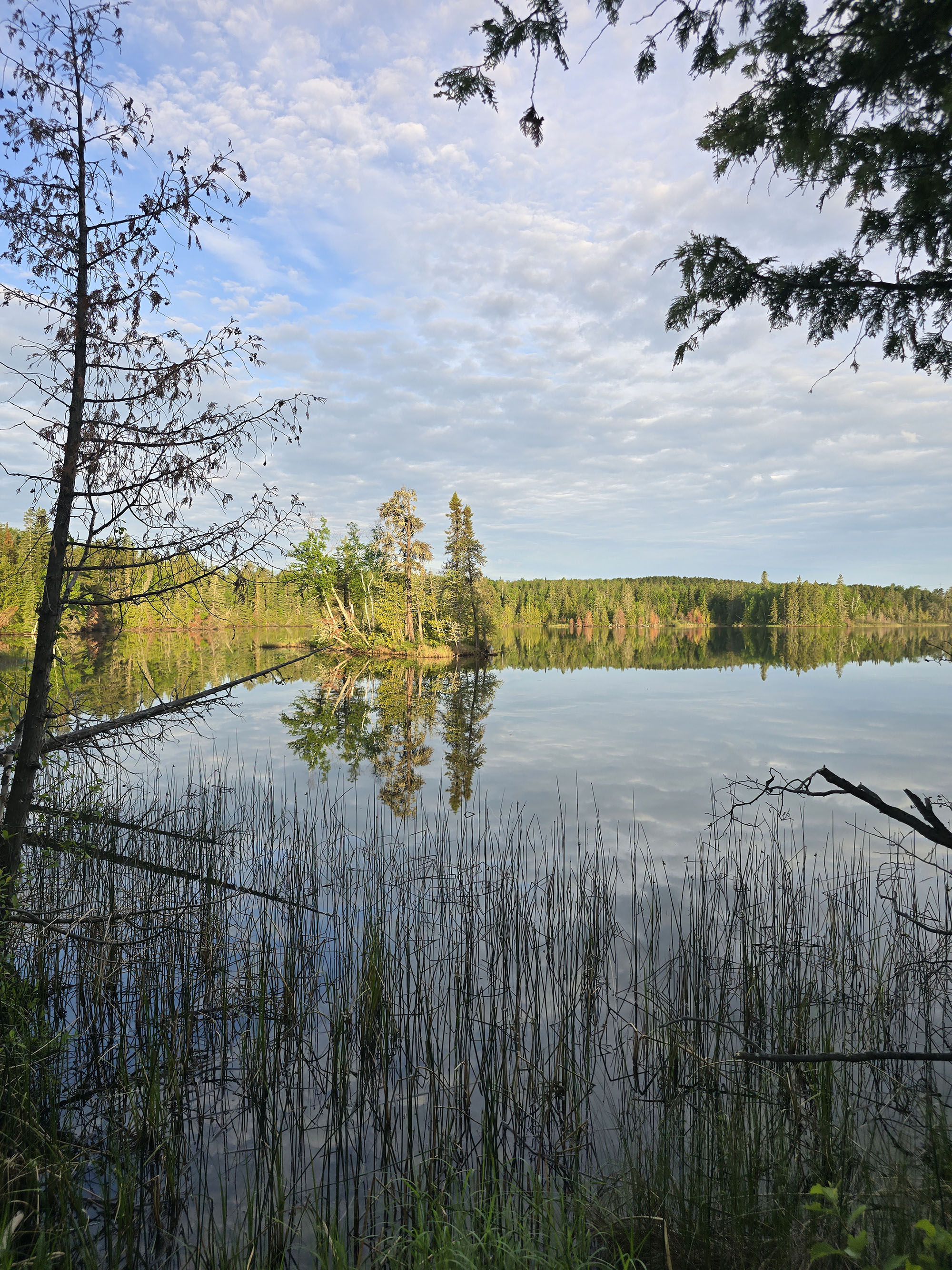 A view over the lagoon at Macleod Provincial Park.