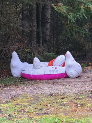 A deflated swan floating, wearing a personal flotation device, and an empty beer can.