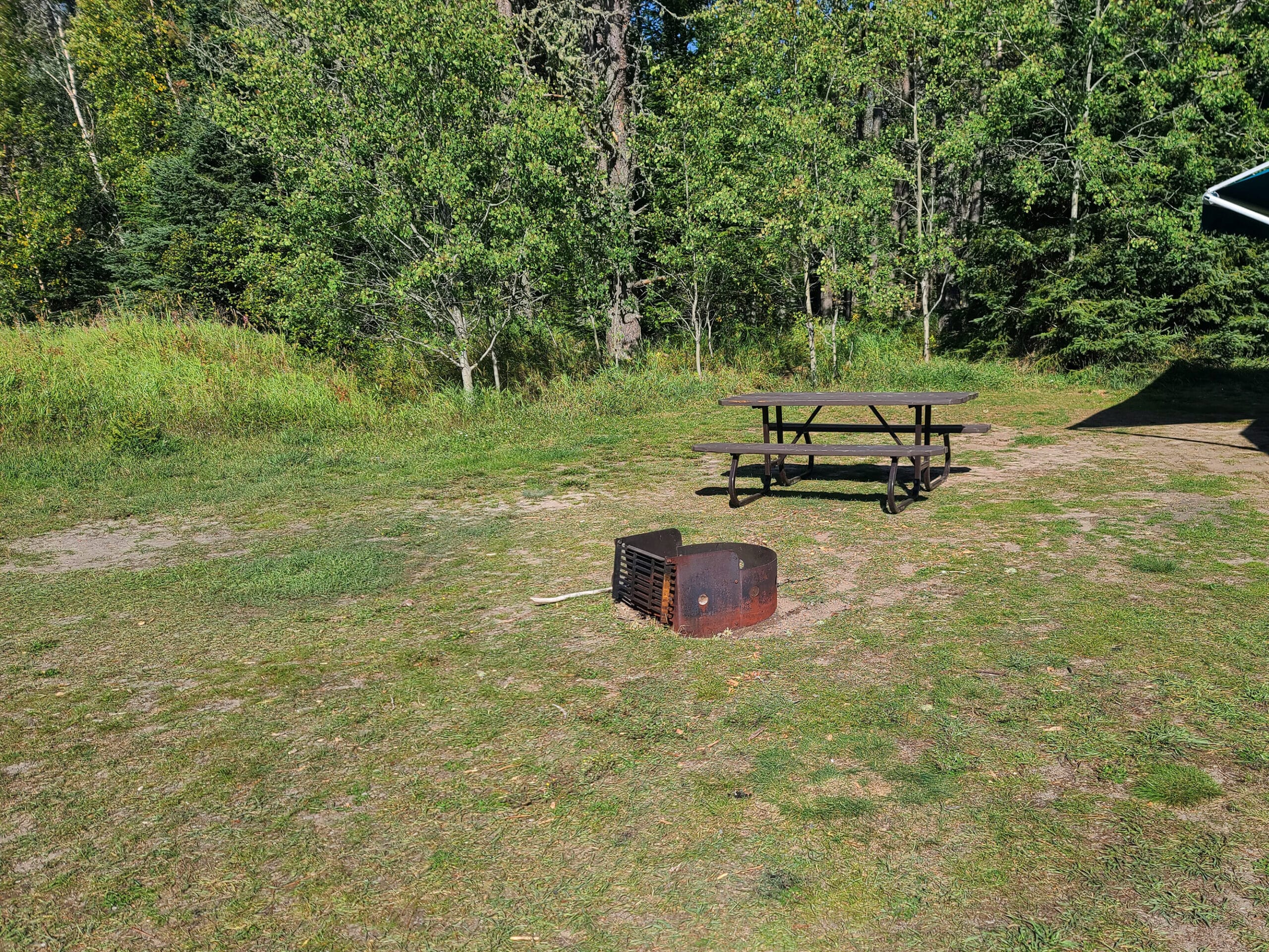 A flat grassy camp site with a picnic table and fire pit.