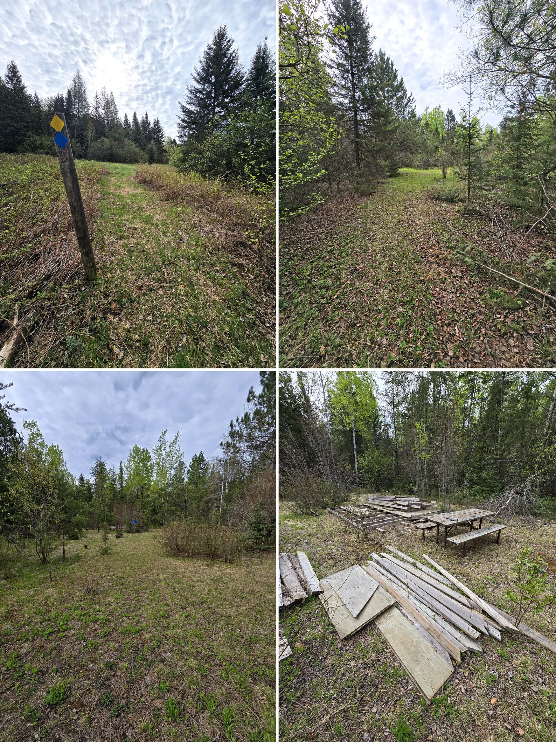 4 part image showing various views along the Camp 111 trail in Quetico Provincial Park.