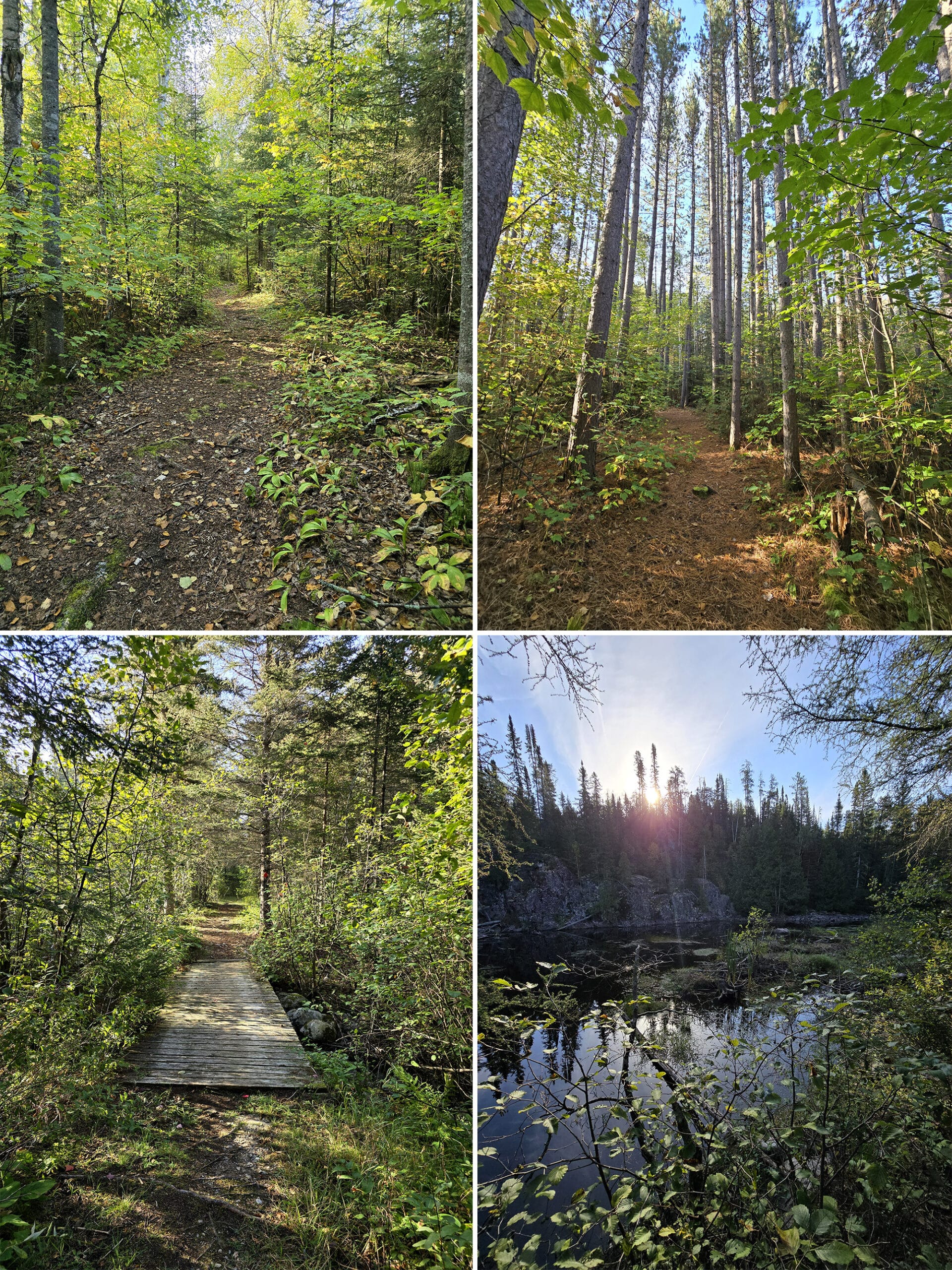 4 part image showing various views along the french falls trail in Quetico Provincial Park.