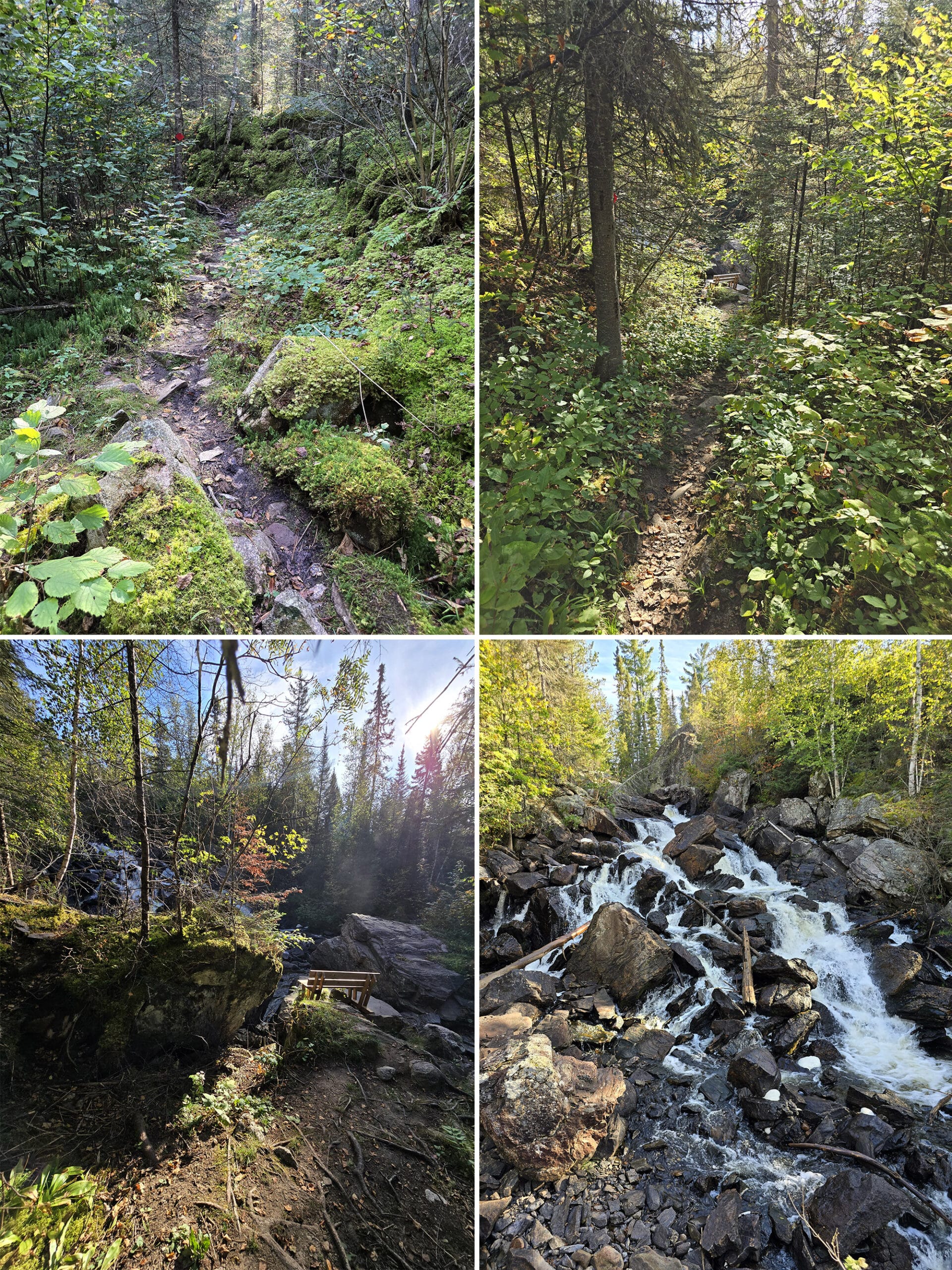 4 part image showing various views along the french falls trail in Quetico Provincial Park.