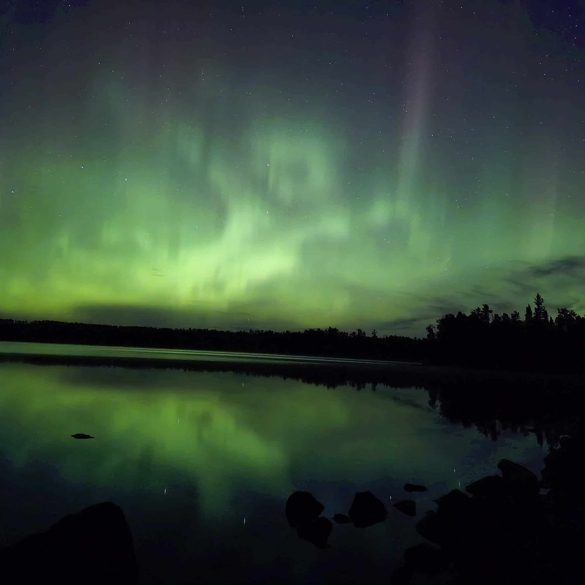 A bright green and purple aurora borealis at quetico provincial park.