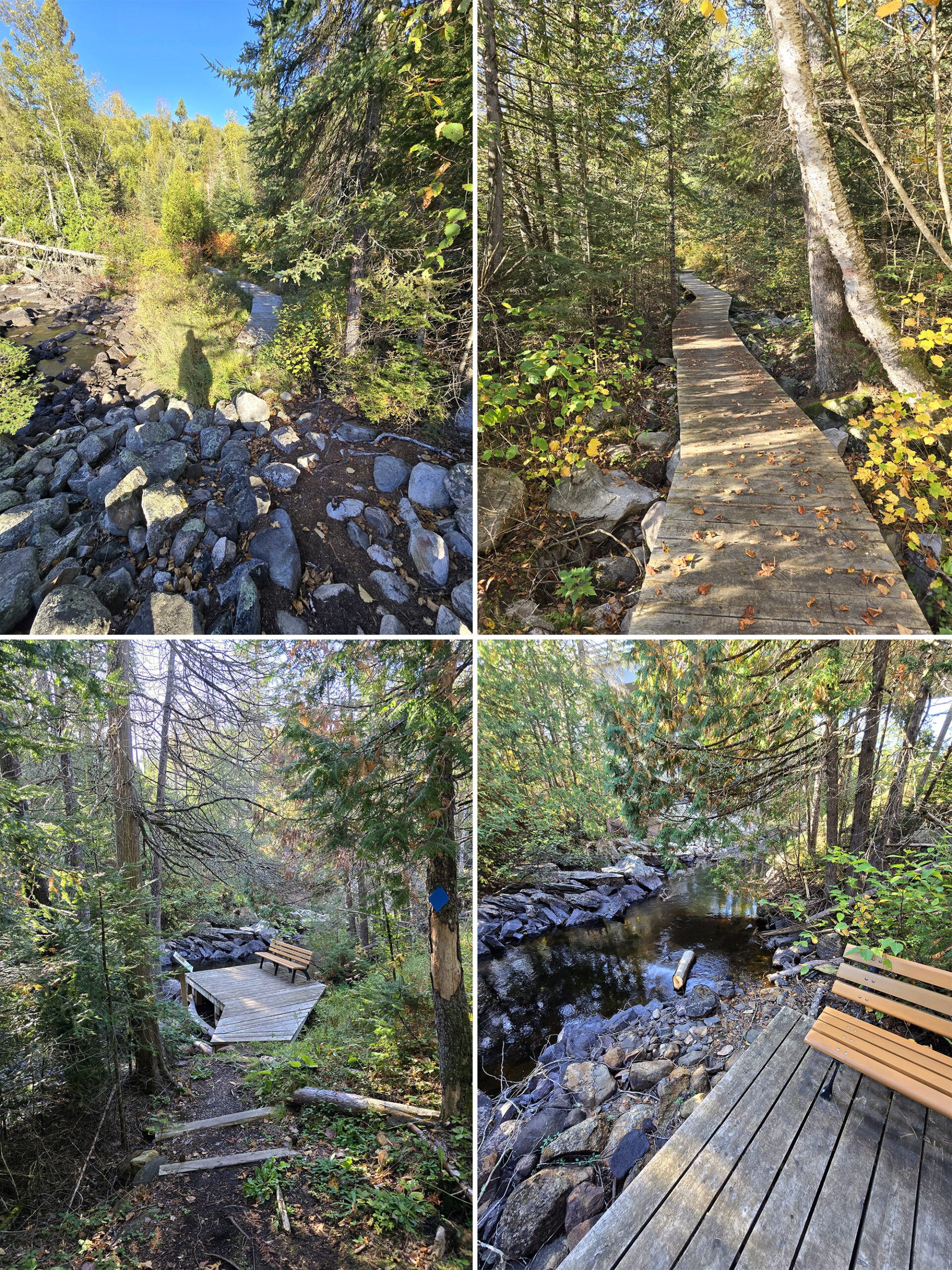 4 part image showing various views along the paul kane trail in Quetico Provincial Park.
