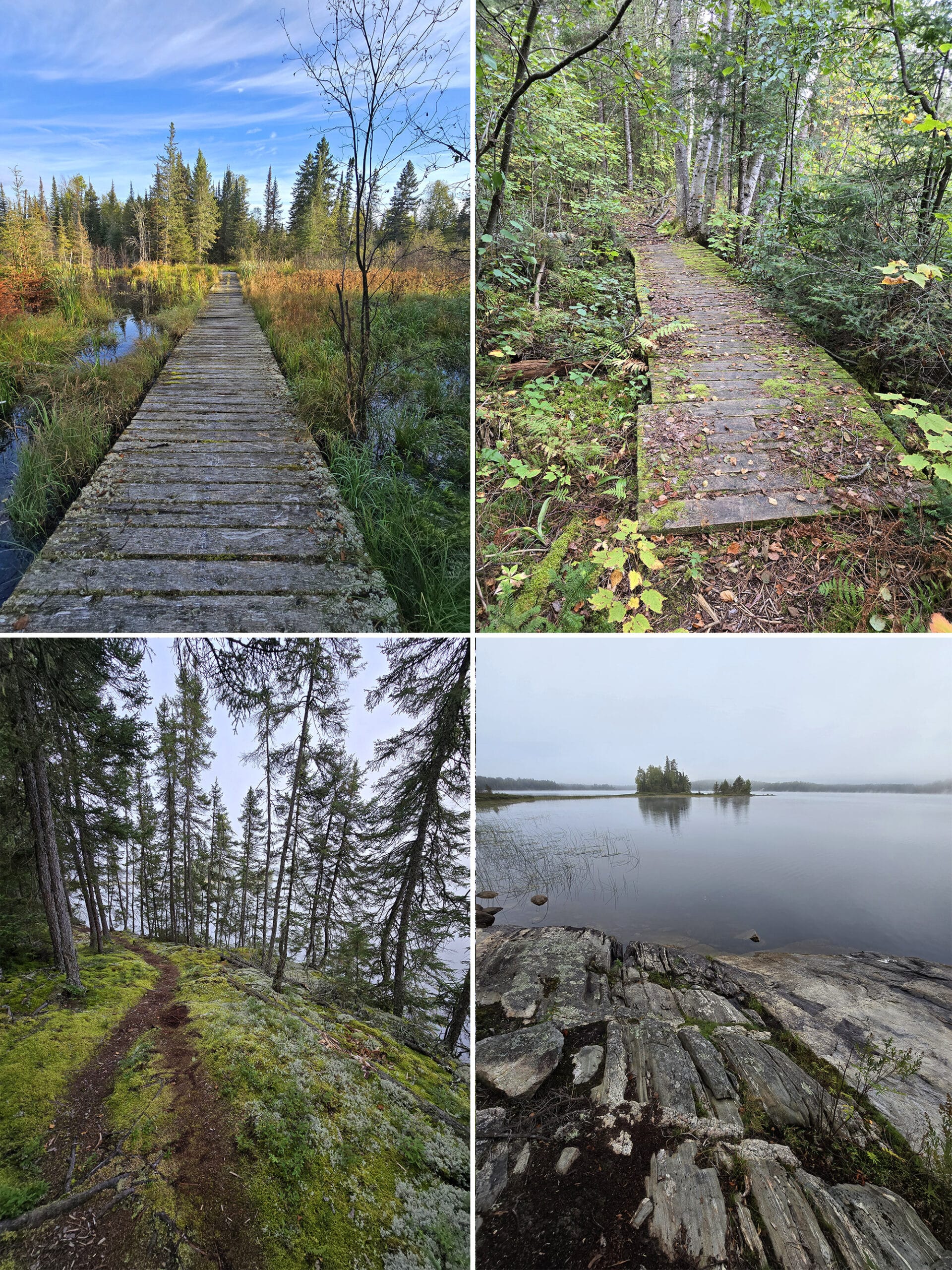 4 part image showing various views along the teaching trail in Quetico Provincial Park.