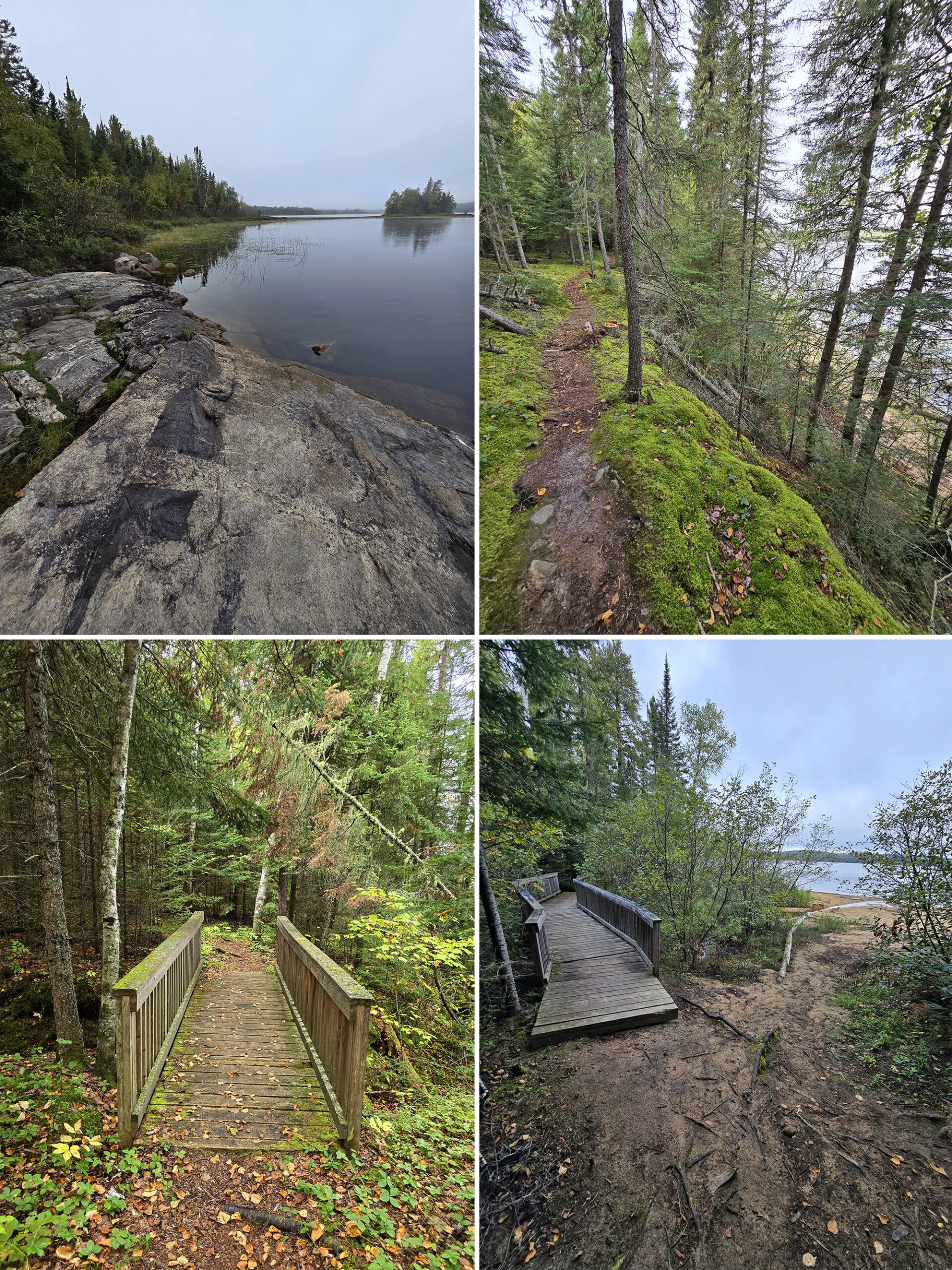4 part image showing various views along the teaching trail in Quetico Provincial Park.