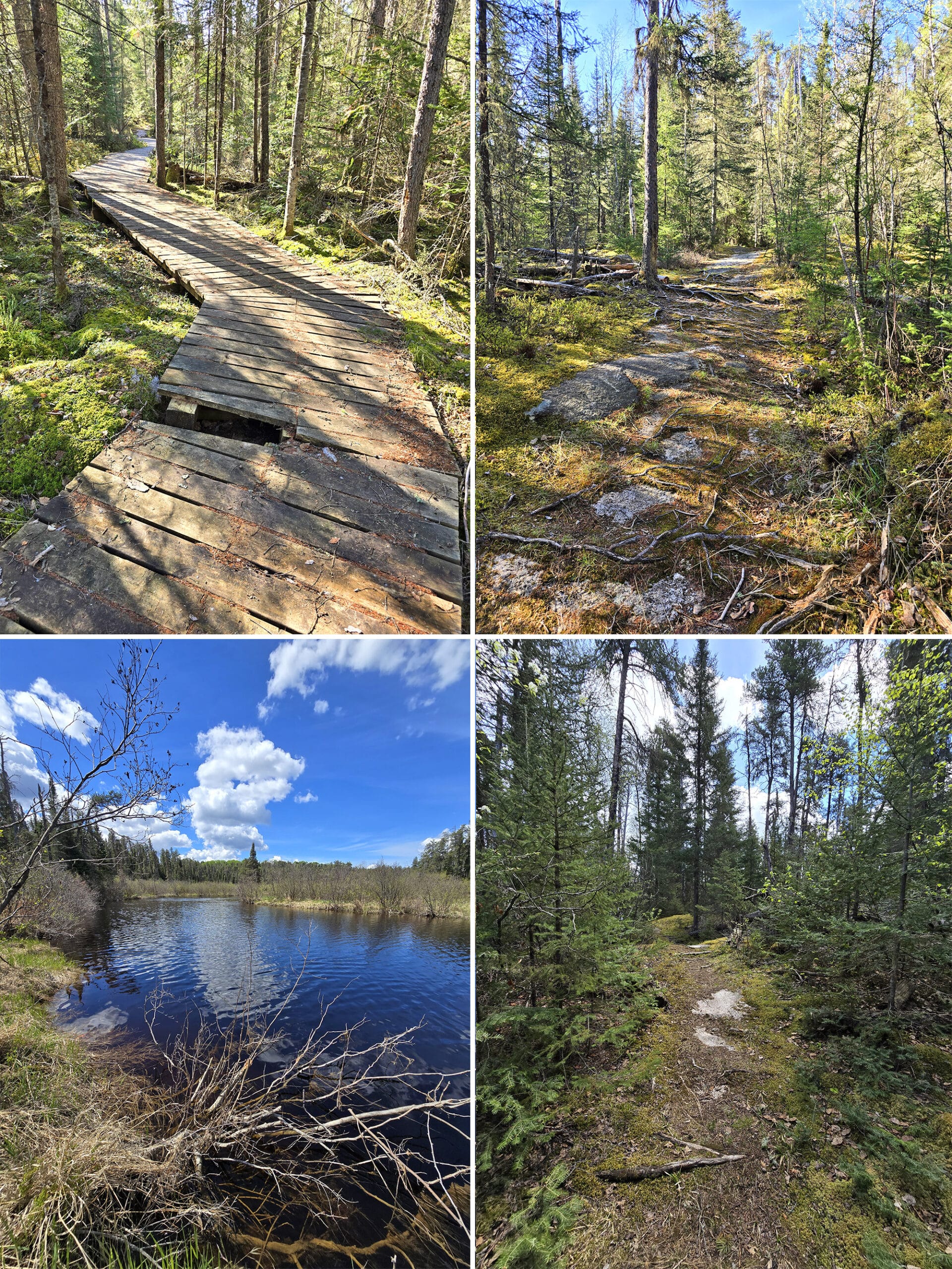 2 part image showing various views along the Whiskey Jack Trail in Quetico Provincial Park.