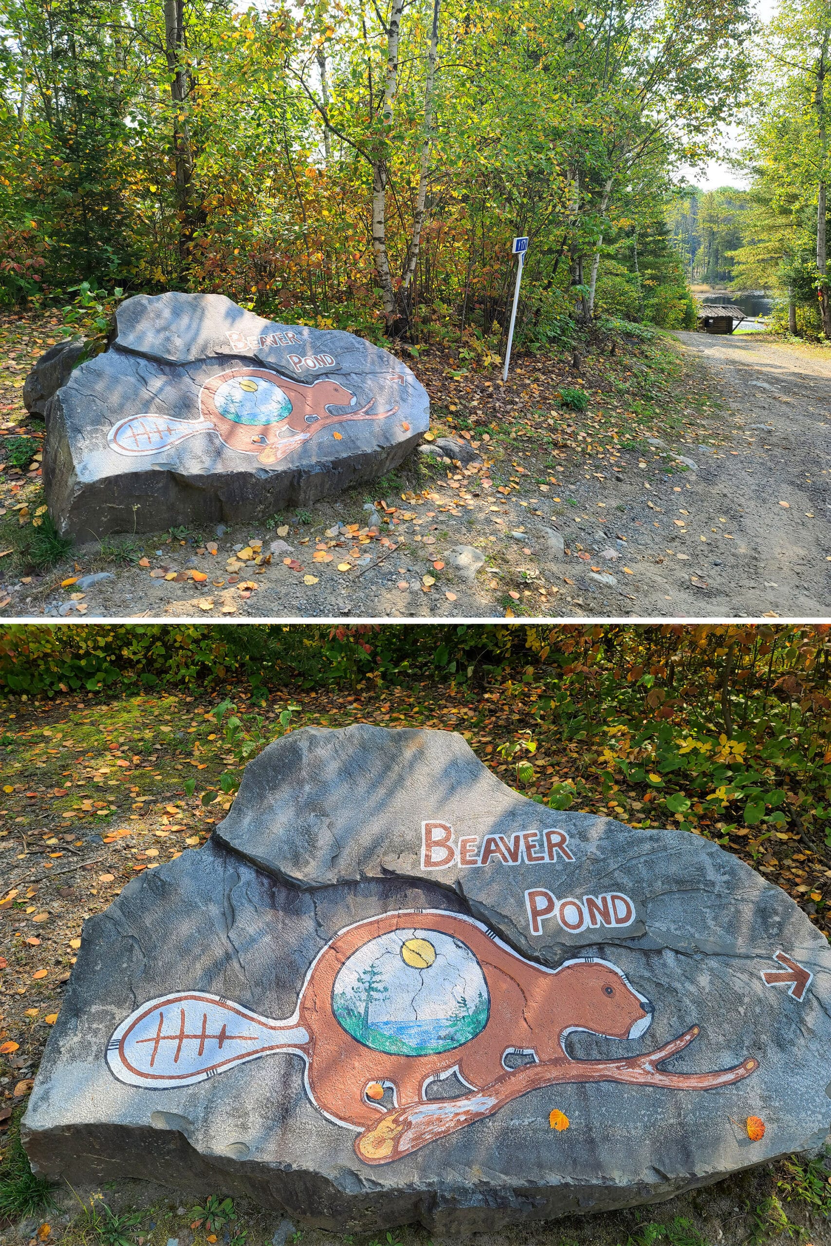 2 part image showing a large rock painted with a beaver and the words beaver pond.