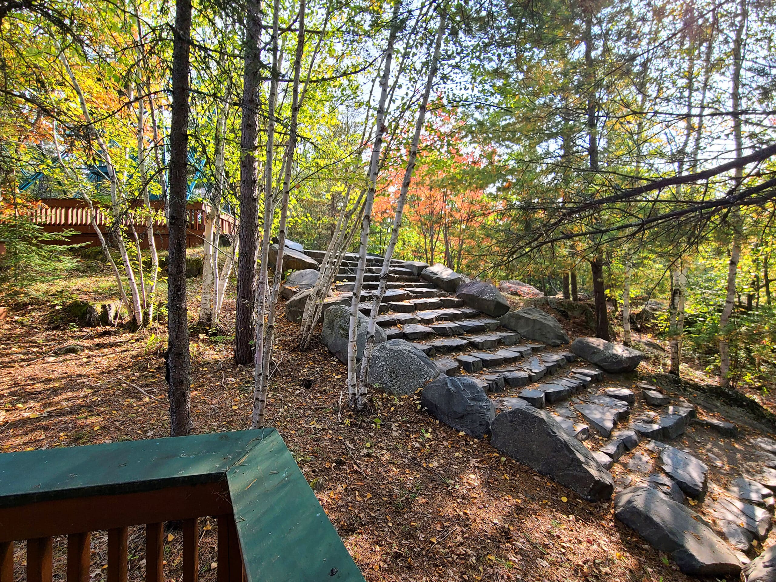 Some rustic rock stairs in the woods.