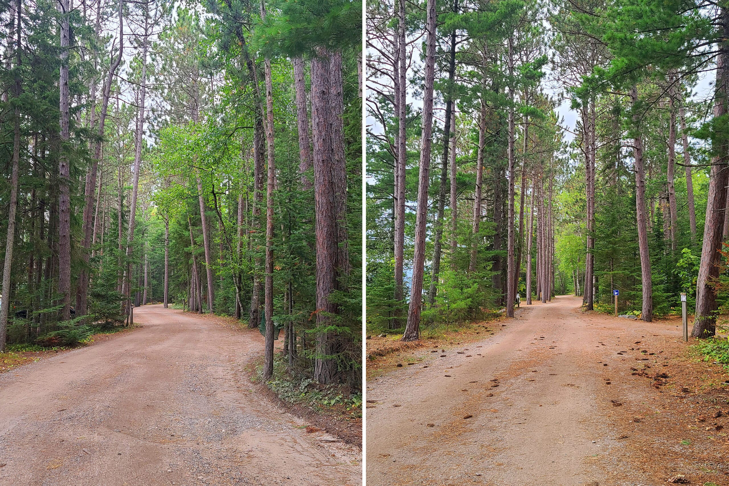 2 part image showing narrow packed campground road, flanked by campsites and tall pine trees.