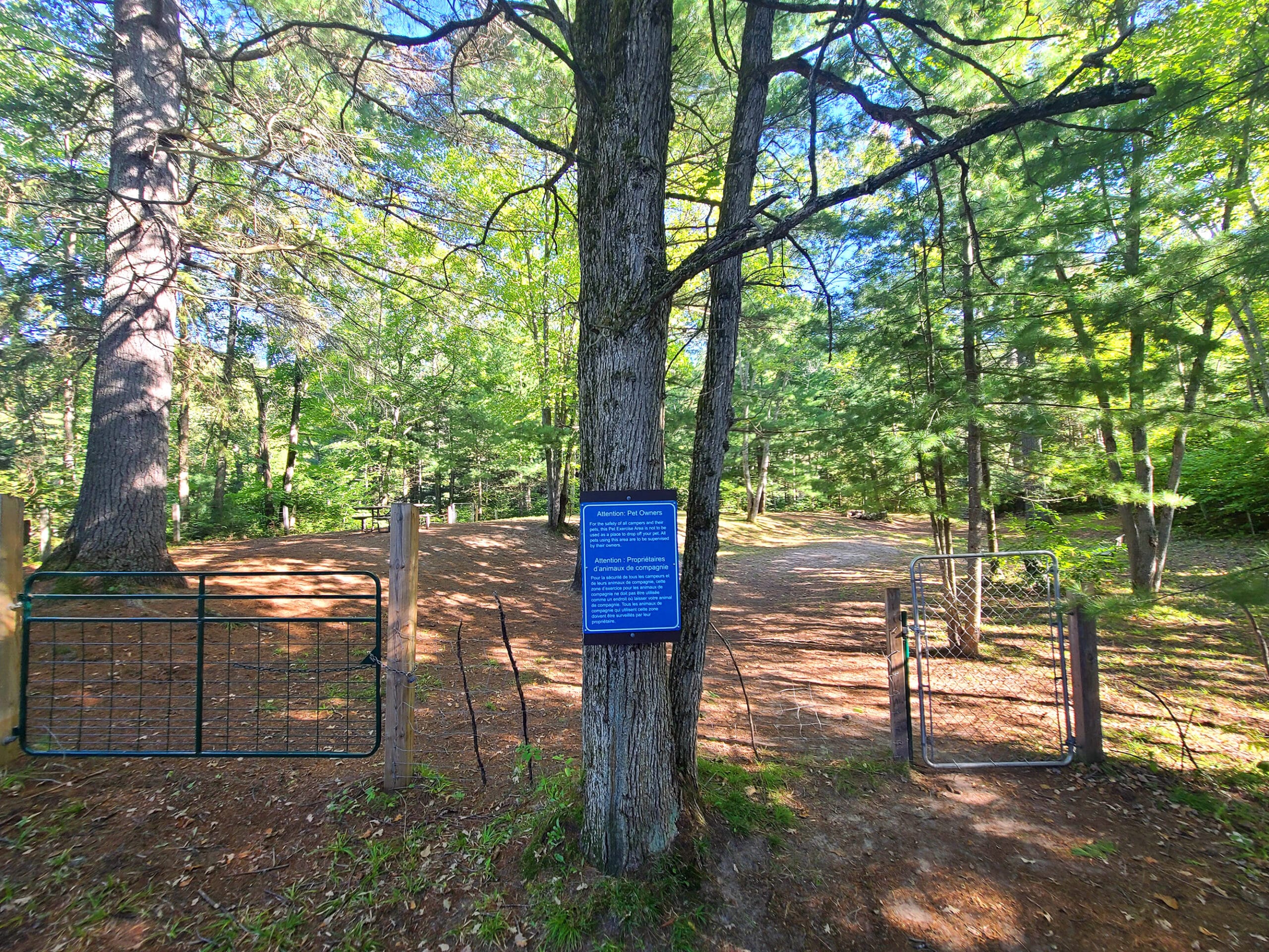 A large fenced in area surrounded by trees.