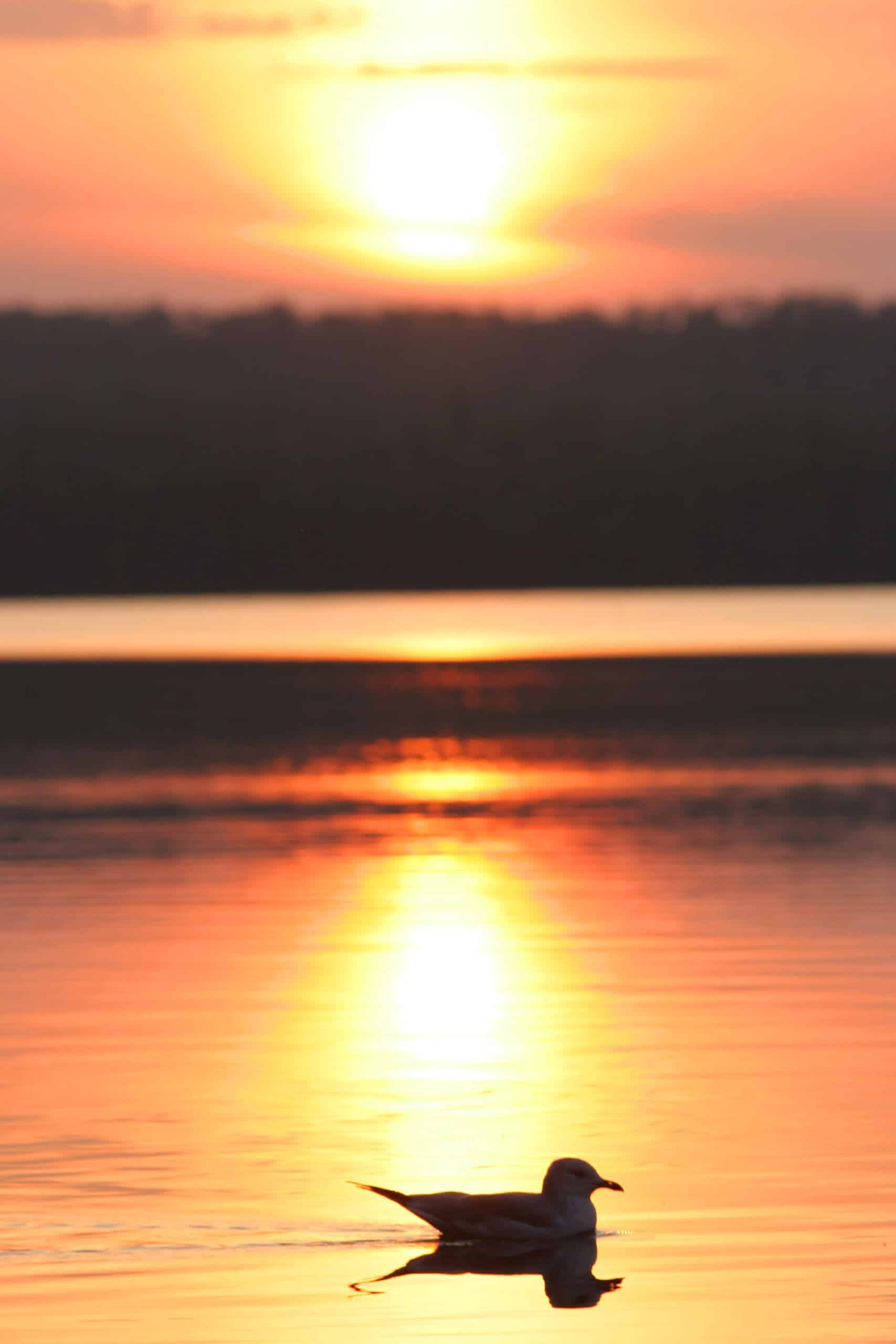 A very bright orange sunset over a lake.