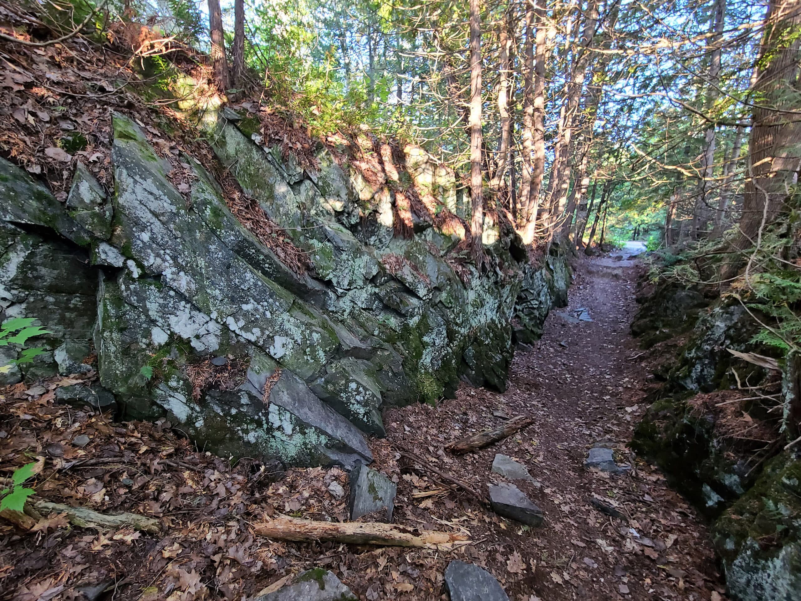 A trail going down into a short ravine.